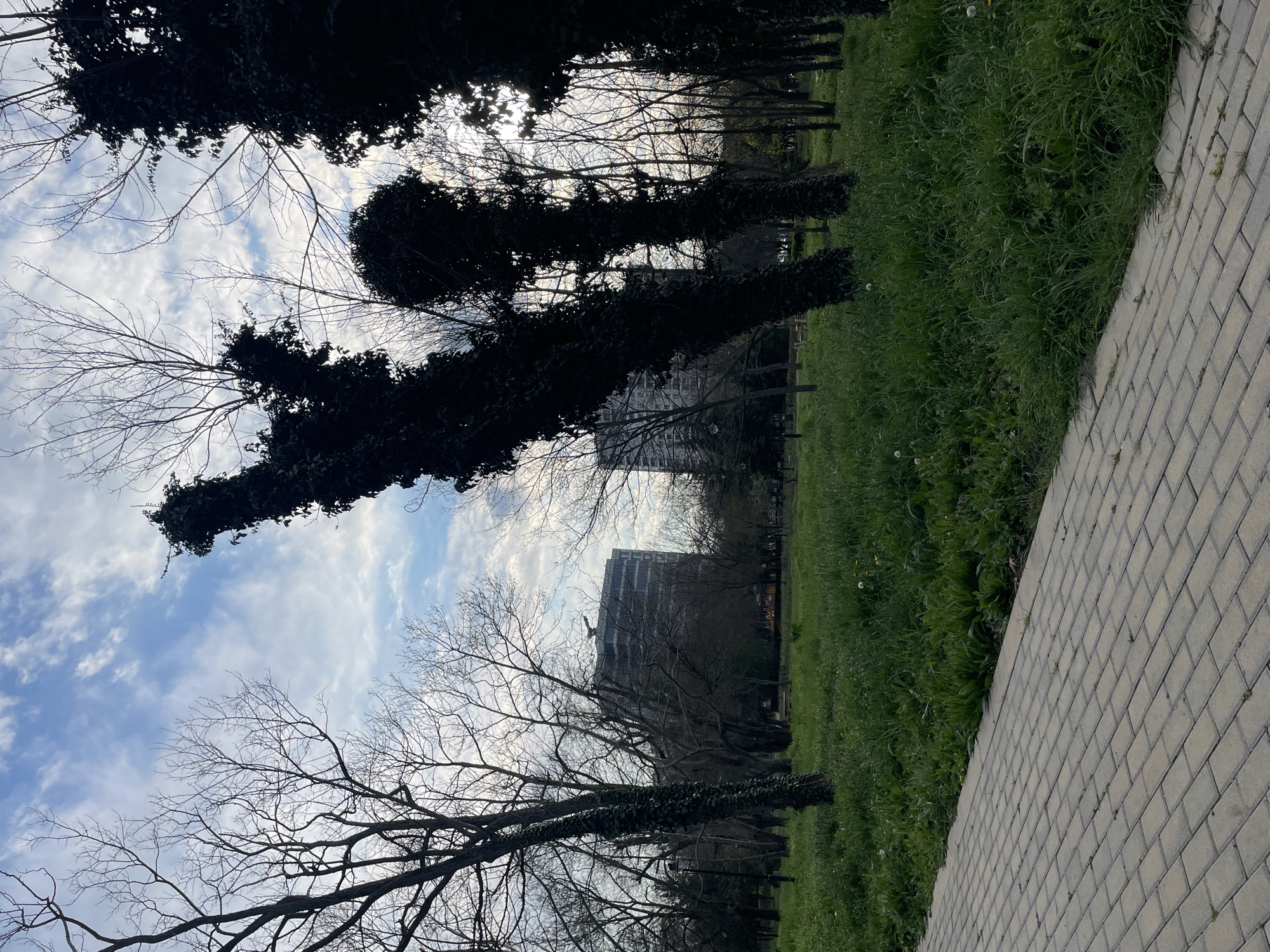 The image depicts a scene in what appears to be a park or green space, likely in Burgas, Bulgaria. A paved walkway composed of rectangular bricks runs along the lower right side of the frame. Adjacent to the walkway is a grassy area with tall grass and weeds. A row of trees extends into the middle ground of the image. These trees have some branches covered in ivy. In the background, a tall, nondescript building is visible through the trees. Above the trees, the sky is visible with patchy clouds. There are no people visible in the image. The photo appears to be taken from a low angle.