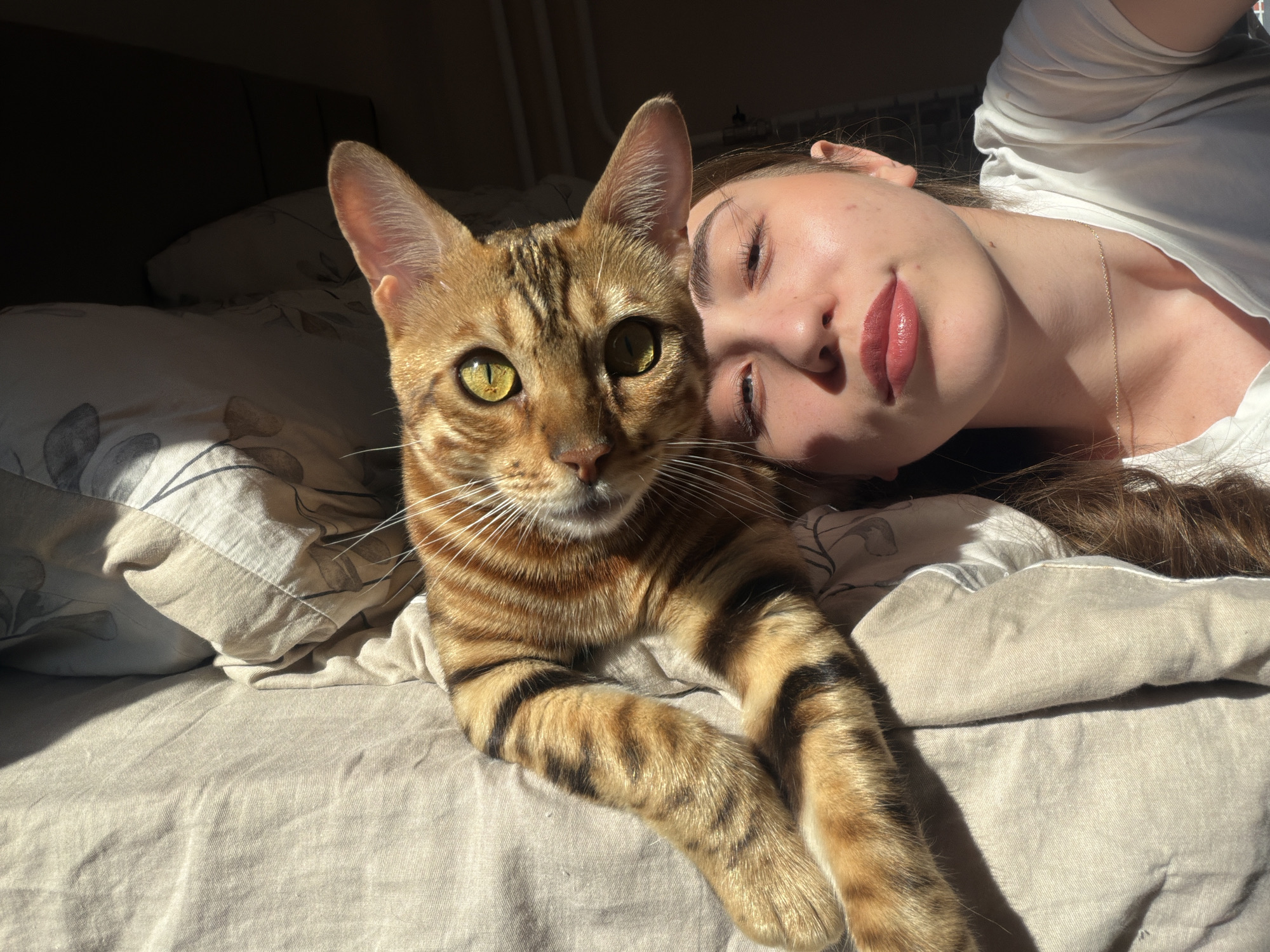 A Bengal cat with green eyes lies on a bed next to a young woman. The cat is in the foreground, facing the camera, with its paws crossed. The woman is lying on her side, with her head resting on a pillow. She is looking up at the camera with her eyes closed and a slight smile on her face. The room is bathed in warm sunlight, casting long shadows across the bed. The bed is covered in a light-colored duvet with a subtle floral pattern. There is a dark headboard behind the bed. The image appears to be taken indoors, in a bedroom. The context of Krasnoyarsk, Russia, does not provide any specific visual cues within the image itself, as the scene is generic and could be located anywhere.