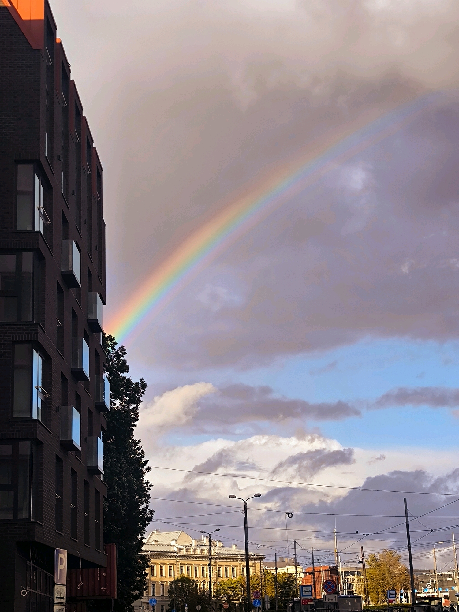 In Riga, Latvia, a rainbow arches across a dramatic sky over a city street. On the left, a modern dark brick building with large windows and balconies dominates the foreground. To the right of the building, a lush green tree is visible. Beyond the tree, a vibrant rainbow stretches across the sky, fading into soft clouds that transition from purple and gray to pale blue. In the background, an ornate historic building with a light-colored facade and arched windows stands against a backdrop of streetlights, overhead wires, and other urban structures, suggesting a typical city scene.
