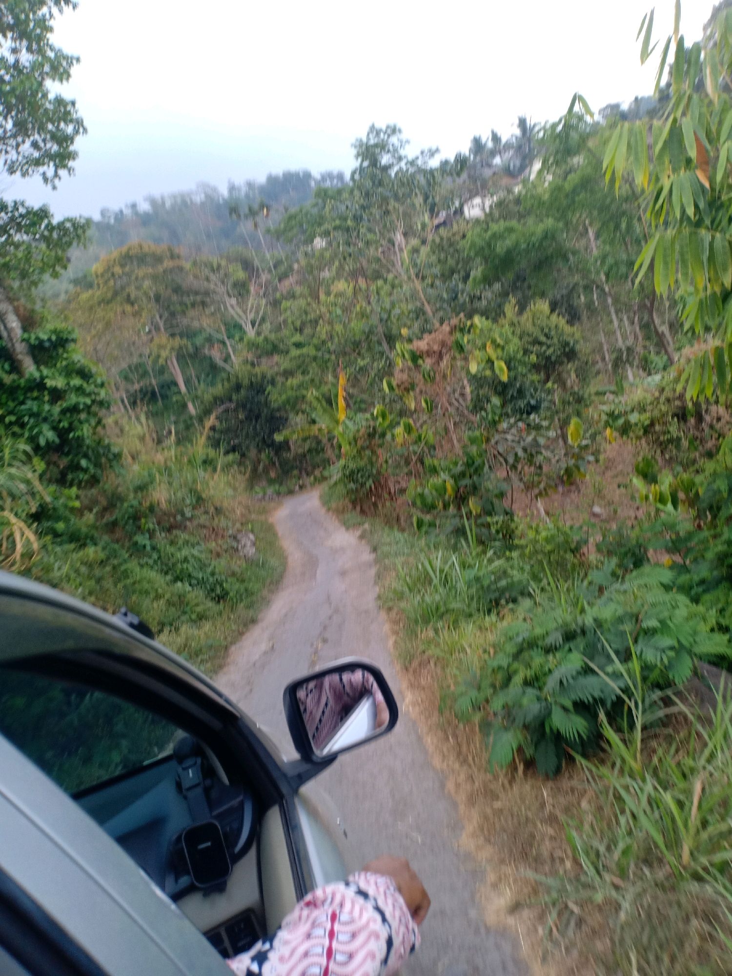 A vehicle travels on a paved road surrounded by lush green vegetation and trees. The road curves to the right, disappearing into the foliage. The sky is overcast and appears to be either dawn or dusk. In the foreground, a portion of the car's interior is visible, including the side mirror which reflects a pattern. A person's arm, adorned with a patterned sleeve, is extended out of the car window, with their hand blurred by motion. The location is identified as Sucolor, Indonesia.