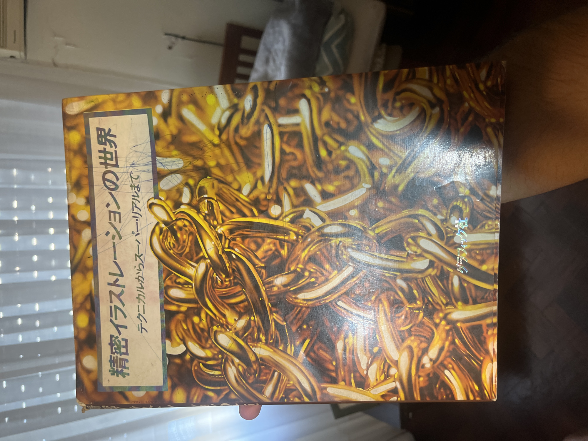 A book with a golden chain pattern on the cover is positioned in front of a window with white blinds, a wooden chair, and a person's arm. The book has Japanese writing on it. The location is assumed to be a residence due to the presence of furniture. There is no definitive indication in the image that the location is Buenos Aires, Argentina.