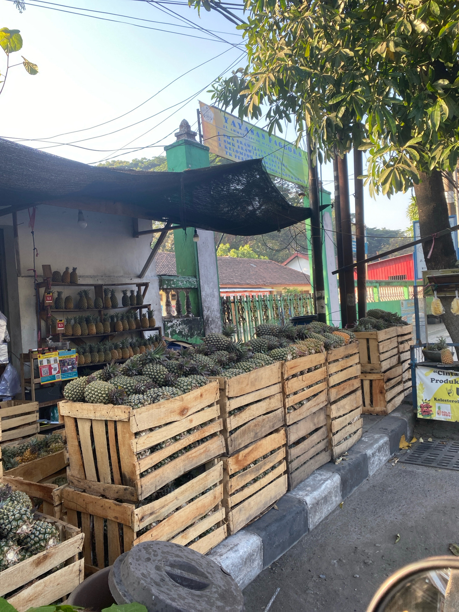The image captures an outdoor fruit stand in Kediri City, Indonesia, featuring an abundance of pineapples. The fruit is displayed in numerous wooden crates, some stacked high, overflowing with the spiky produce. Several shelves behind the crates are also lined with pineapples. The scene is set along a roadside, with a sidewalk and a gutter visible. A large tree with dense green foliage extends into the frame from the right. Overhead, power lines crisscross the bright sky, and a portion of a building with a green and white facade is visible in the background. A sign with Indonesian text hangs above the stand, partially obscured by the tree and awning. The lighting suggests it is daytime, likely morning or late afternoon, given the warm sunlight and long shadows. There are no people actively engaged in the scene, but the presence of the fruit stand indicates commercial activity.