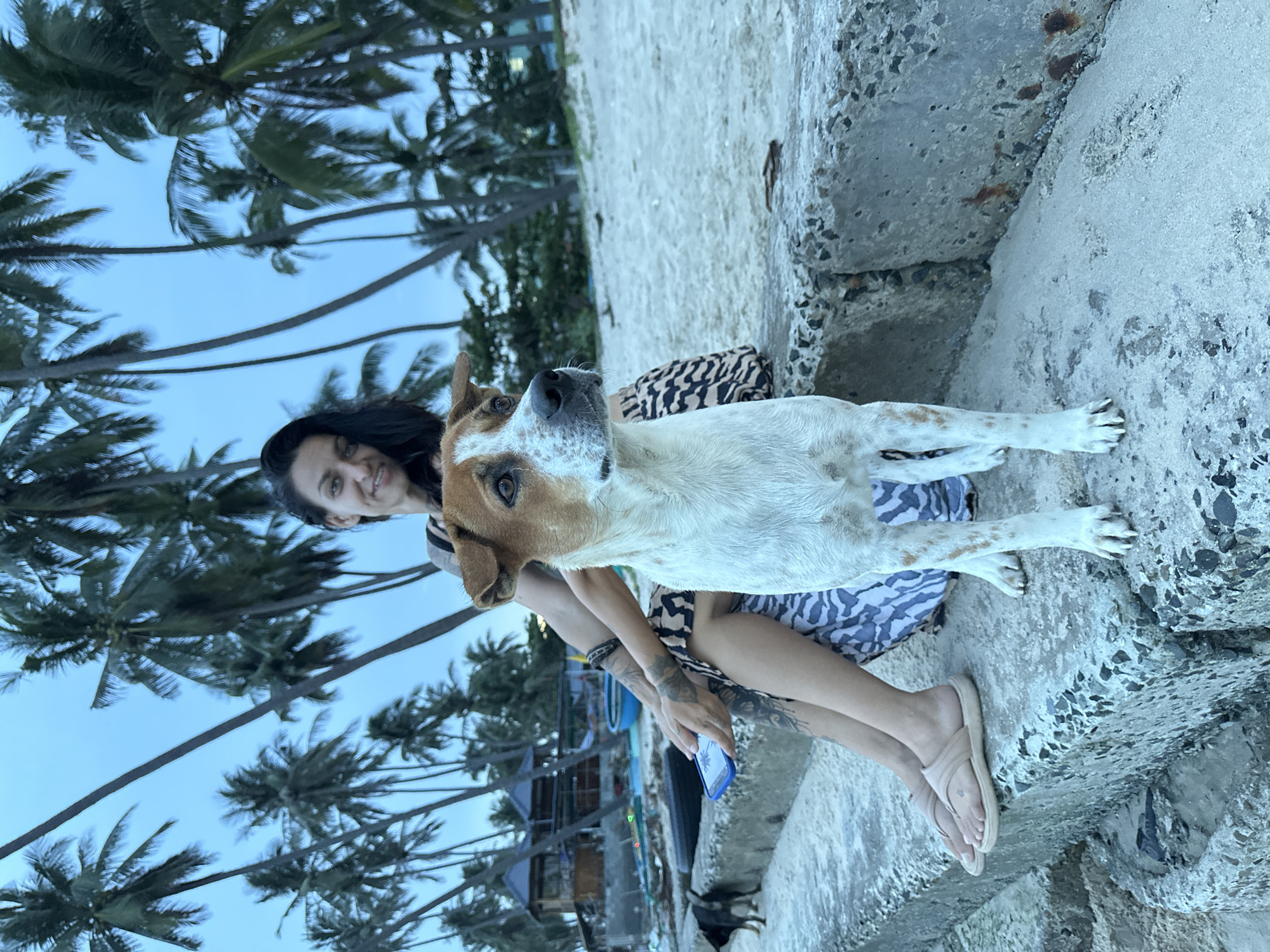 A person and a dog are sitting on a concrete structure, possibly a seawall or pier, by the ocean. The person has dark hair and is smiling at the camera, wearing a patterned top and a skirt. The dog, which is light-colored with brown markings, is looking up and to the side. Palm trees are visible in the background against a hazy blue sky, suggesting a tropical location. In the distance, there are some buildings and what appears to be boats, indicating a coastal community or resort area. The lighting suggests it is either early morning or late afternoon. The overall mood is relaxed and casual.