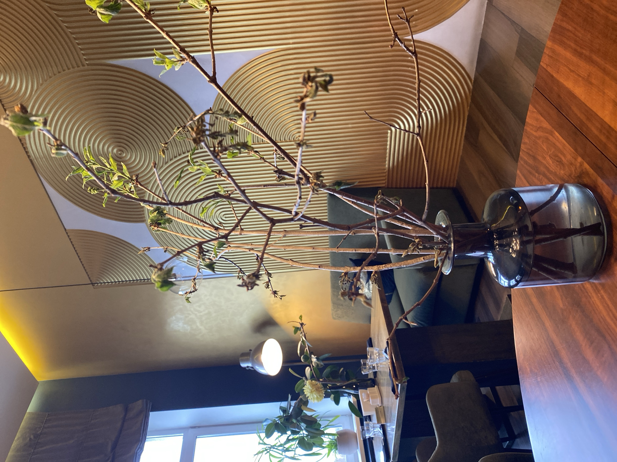 The photograph shows an interior setting. The composition is dominated by a glass vase containing bare branches with a few green leaves. This vase rests on a dark wooden table that takes up a significant portion of the right side of the image.
In the background, there is a green sofa. The room features a patterned gold ceiling. In the lower part of the image, there are views of a window with plants in front of it. A dining table with glasses and decorations is also visible. Based on the location, the picture was taken in Yekaterinburg, Russia.