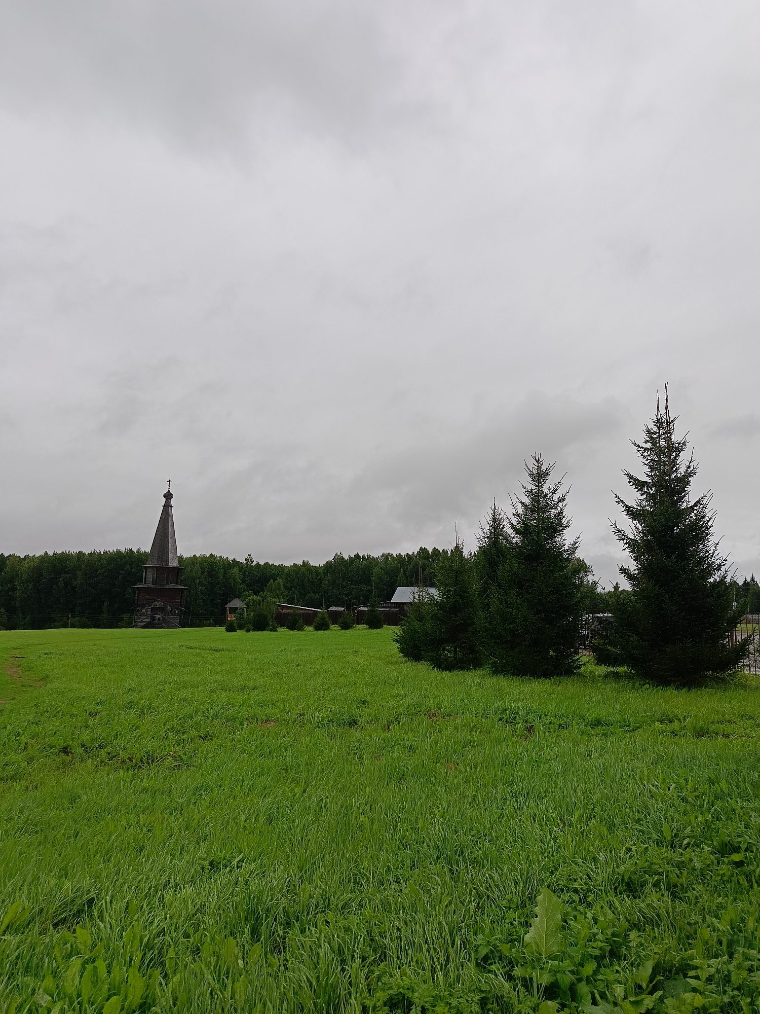An outdoor, wide shot captures a wooden church tower and a line of evergreen trees in a green field under a cloudy sky. The church tower, dark brown and tapered, is topped with a cross. To the right of the tower are three evergreen trees, and further right is a dark fence. In the background, a dense line of trees forms the horizon. The foreground is a vast, unkempt field of bright green grass, with some larger plants visible in the lower right corner. The sky is overcast with thick gray clouds.