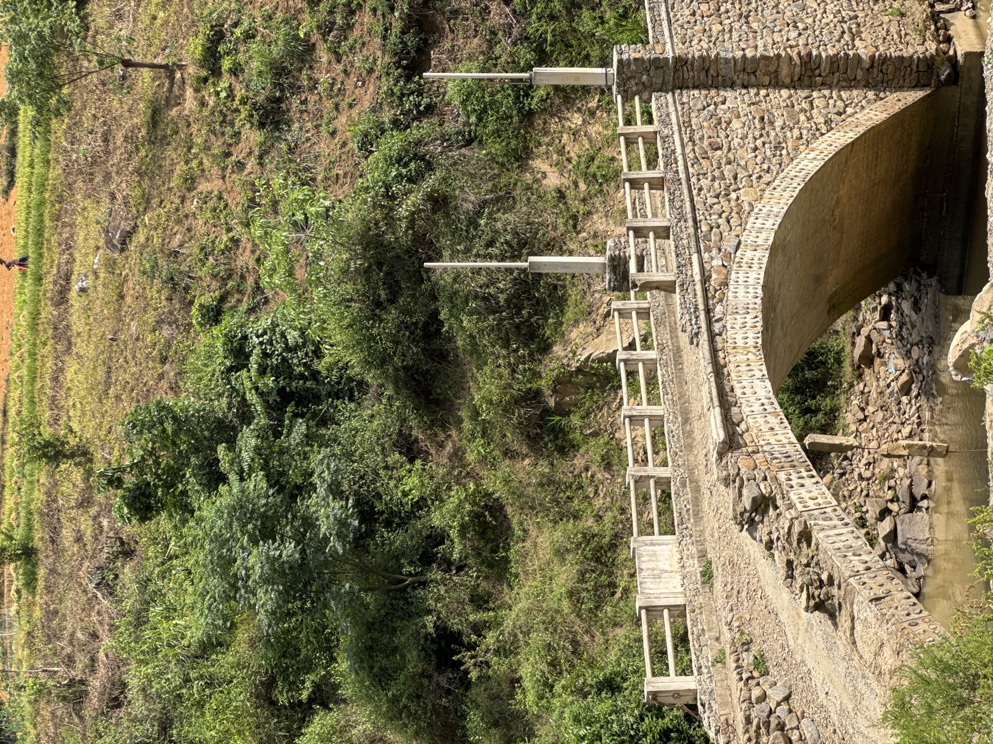 The image captures a scenic rural landscape, likely in Khao Mang, Vietnam, featuring a stone bridge spanning a narrow stream. The bridge is constructed from rough-hewn stones, with a distinct arched underside allowing water to flow beneath. Its railing is also made of stone, incorporating regularly spaced concrete rectangular posts. Two tall, slender white poles, possibly streetlights or markers, stand prominently on the bridge.
The surrounding environment is characterized by lush, dense vegetation, covering steep hillsides on either side of the stream and bridge. On the far left, a cultivated field is visible, showing sections of vibrant green crops alongside areas of drier, lighter-colored earth, possibly indicative of terraced farming. A small human figure, appearing to be a person, can be discerned within the green part of this field.
The time of day is bright and sunny, indicated by clear light and shadows, suggesting a mid-morning or afternoon setting with fair weather. The water in the stream beneath the bridge appears slightly muddy. No discernible text is visible anywhere in the image.
