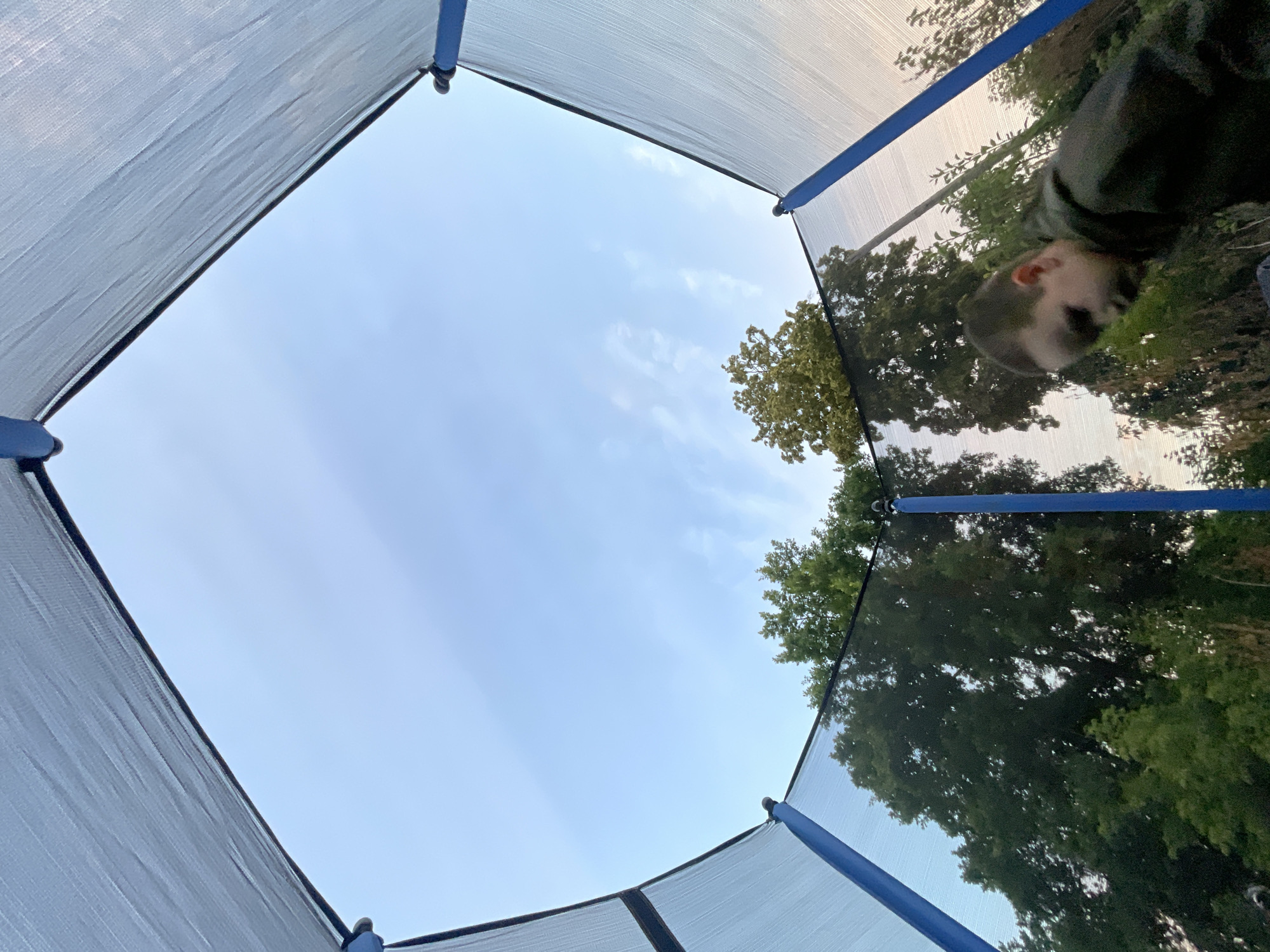 The image is a low-angle shot taken from inside a trampoline enclosure, looking up at the sky and surrounding trees. The trampoline netting forms a diamond-like frame, with blue poles visible at the corners. The sky is a clear, pale blue with a few wispy clouds. On the right side of the frame, the reflection in the trampoline netting shows a young person lying down, with trees and sunlight filtering through them. The overall impression is one of a bright, clear day, likely outdoors in a backyard or park setting, given the presence of trees and the trampoline. The time of day appears to be late afternoon or early evening, as evidenced by the soft, diffused light and the golden glow in the reflection. The scene conveys a sense of relaxation and enjoyment, with the young person appearing to be comfortable and at ease. There is no visible text in the image.