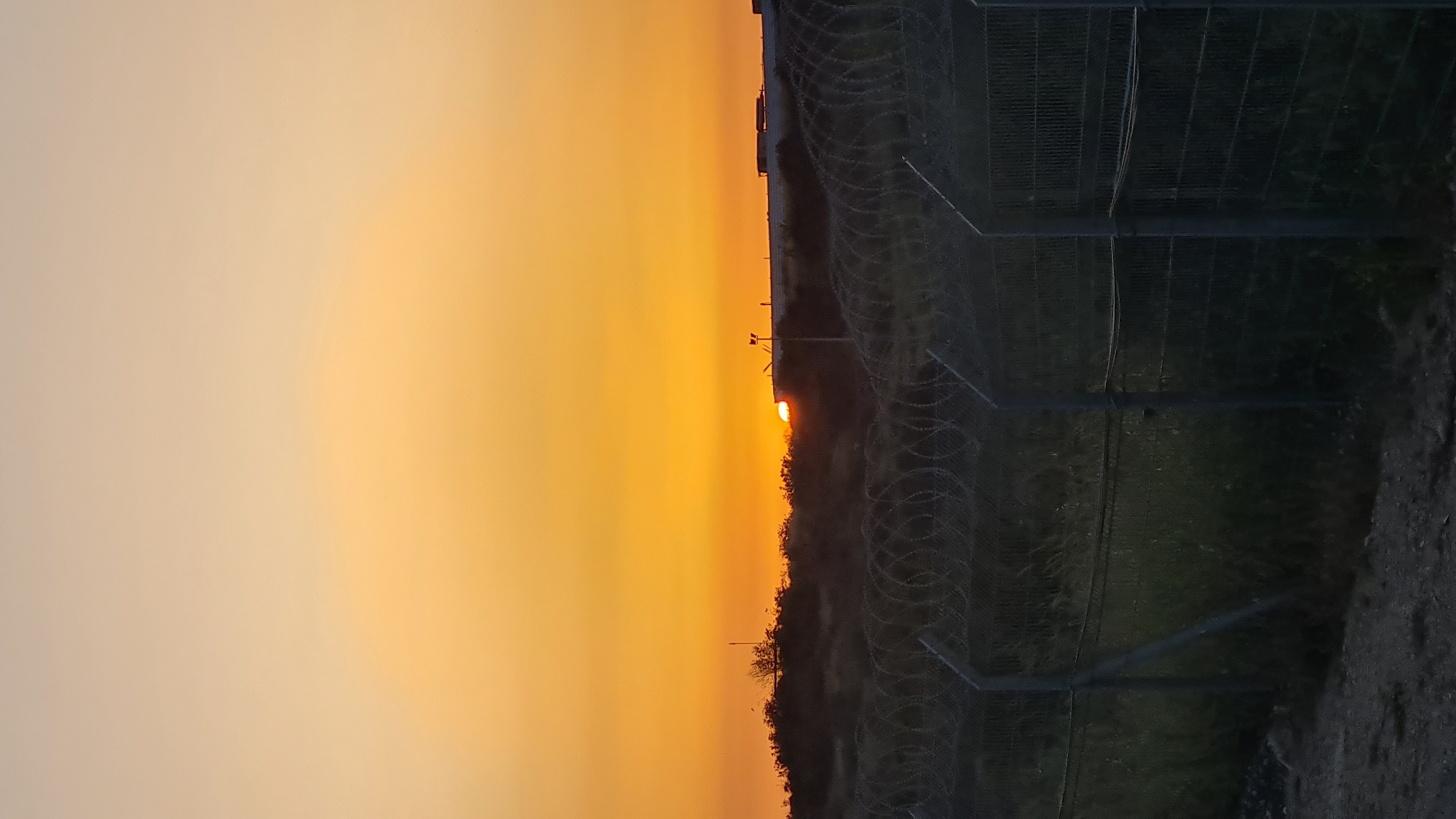 A landscape photograph shows a sunset obscured by trees and barbed wire fencing. The sky transitions from a pale yellow to a deep orange where the sun dips below the horizon. The fence runs vertically on the right side of the frame, with patches of green vegetation visible behind and below it. The ground near the fence appears to be dirt. Location: Lachish Regional Council, Israel.