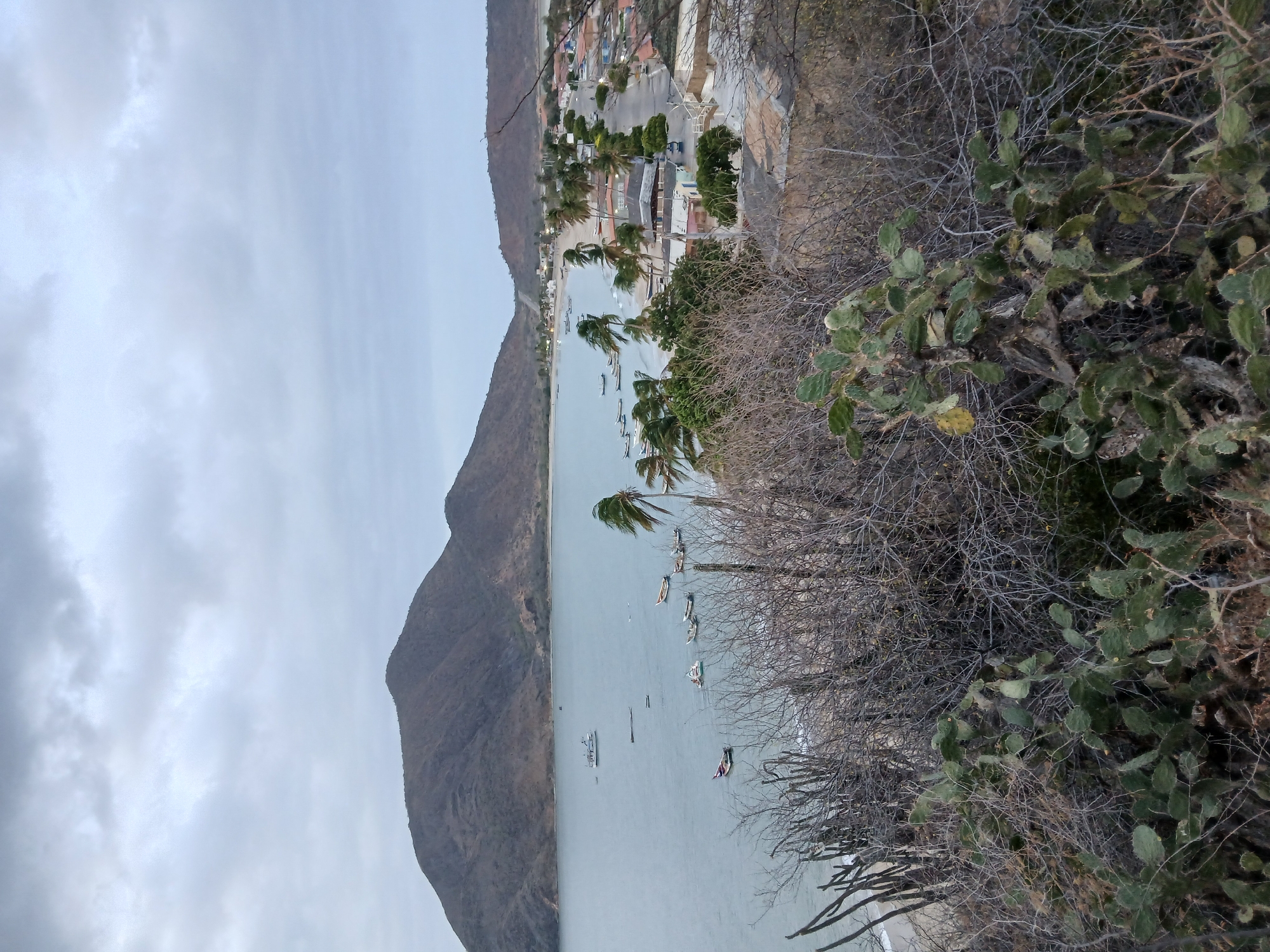 The image presents a view of the bay in Juan Griego, Venezuela. The foreground is dominated by dry vegetation, including cacti. Beyond the vegetation, the bay is visible, with several small boats anchored in the calm waters. A beach borders the bay. A town is situated along the shoreline. A large, barren mountain dominates the left side of the frame. The sky is overcast. The photo is taken from an elevated position, looking down at the bay.