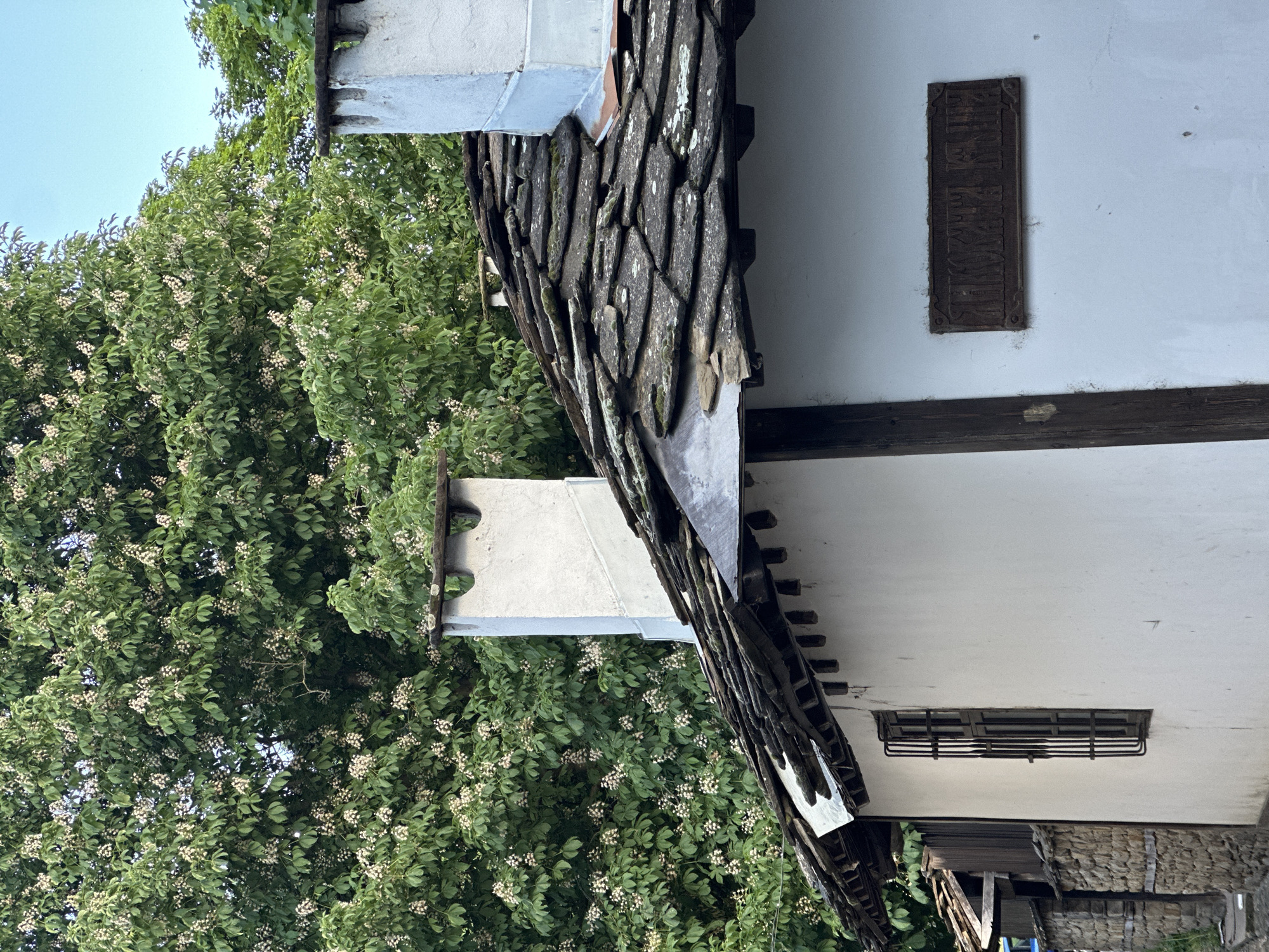 The image shows a building in Lovech, Bulgaria, with traditional Bulgarian architecture. The building features a white facade, a wooden beam running horizontally across the wall, a decorative dark brown rectangular plaque above the beam, and a rectangular ventilation grill near the bottom of the wall. The roof is covered with overlapping dark gray, weathered stone tiles, with white metal trim along the edges. A large tree with green leaves and small white flowers partially obscures the building. The sky is visible in the upper left corner.
