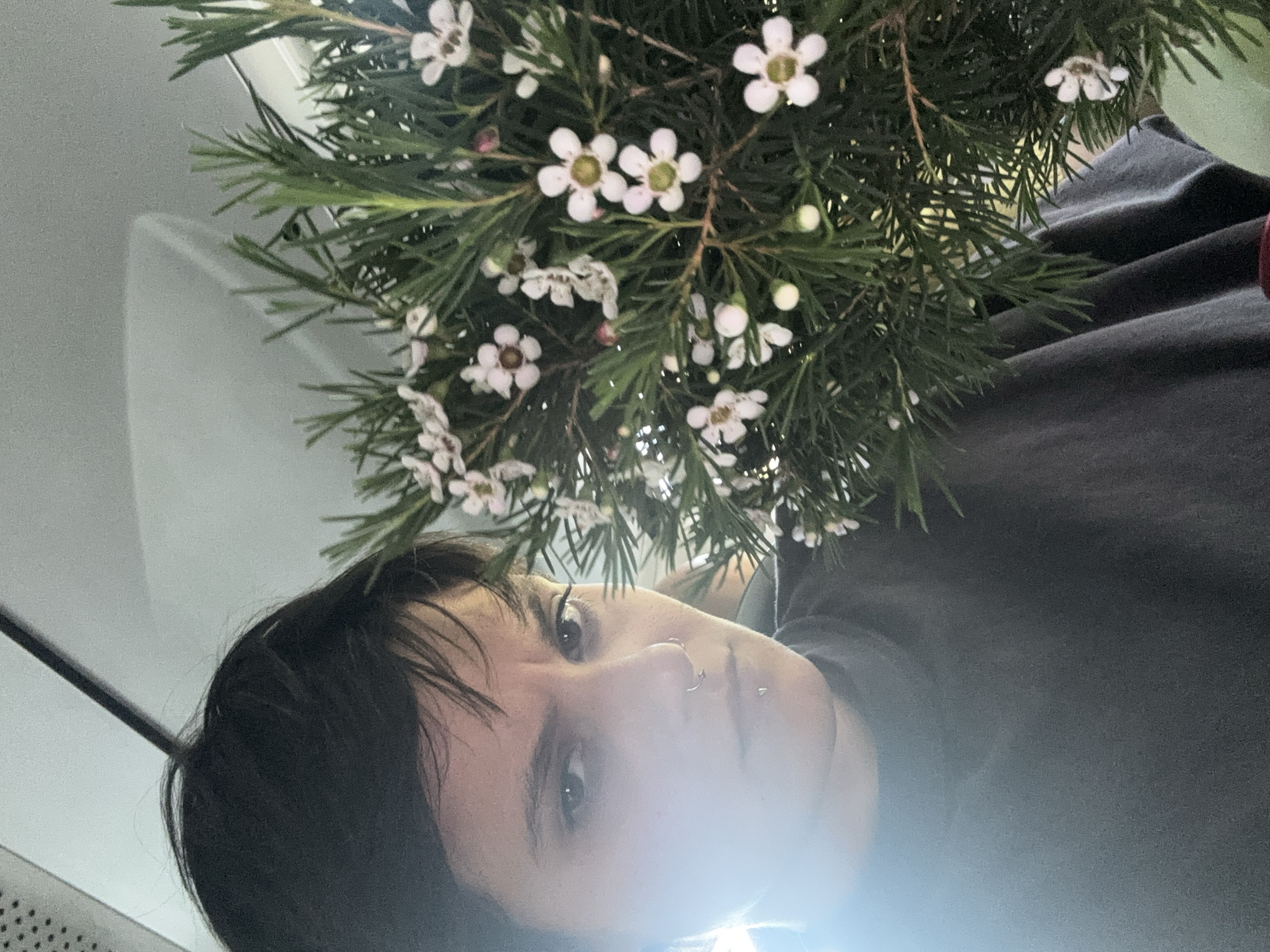 The image captures a close-up, low-angle portrait of a young person with short, dark hair, looking directly at the camera. A strong, bright glare emanating from the lower part of the frame obscures the lower half of their face. Visible features include dark eyes and facial piercings, specifically a septum ring and a small stud below their lower lip. The person is wearing a dark, possibly black, garment.
Dominating the upper portion of the frame is a vibrant bouquet or branch of greenery, densely covered with numerous small, five-petaled white flowers, many featuring light green centers. The leaves are thin and needle-like, indicative of a species like tea tree or similar ornamental shrub. The person appears to be positioned beneath or behind these flowers, looking up through them.
The background primarily consists of a light-colored, possibly off-white or light gray, surface, suggesting an indoor or enclosed setting. A patterned vent or grille is faintly visible on the far left, hinting at an environment such as a vehicle interior or a structured room. The lighting is bright, with the prominent glare being a notable detail. No visible text is present in the image. The scene takes place in Sofia, Bulgaria.