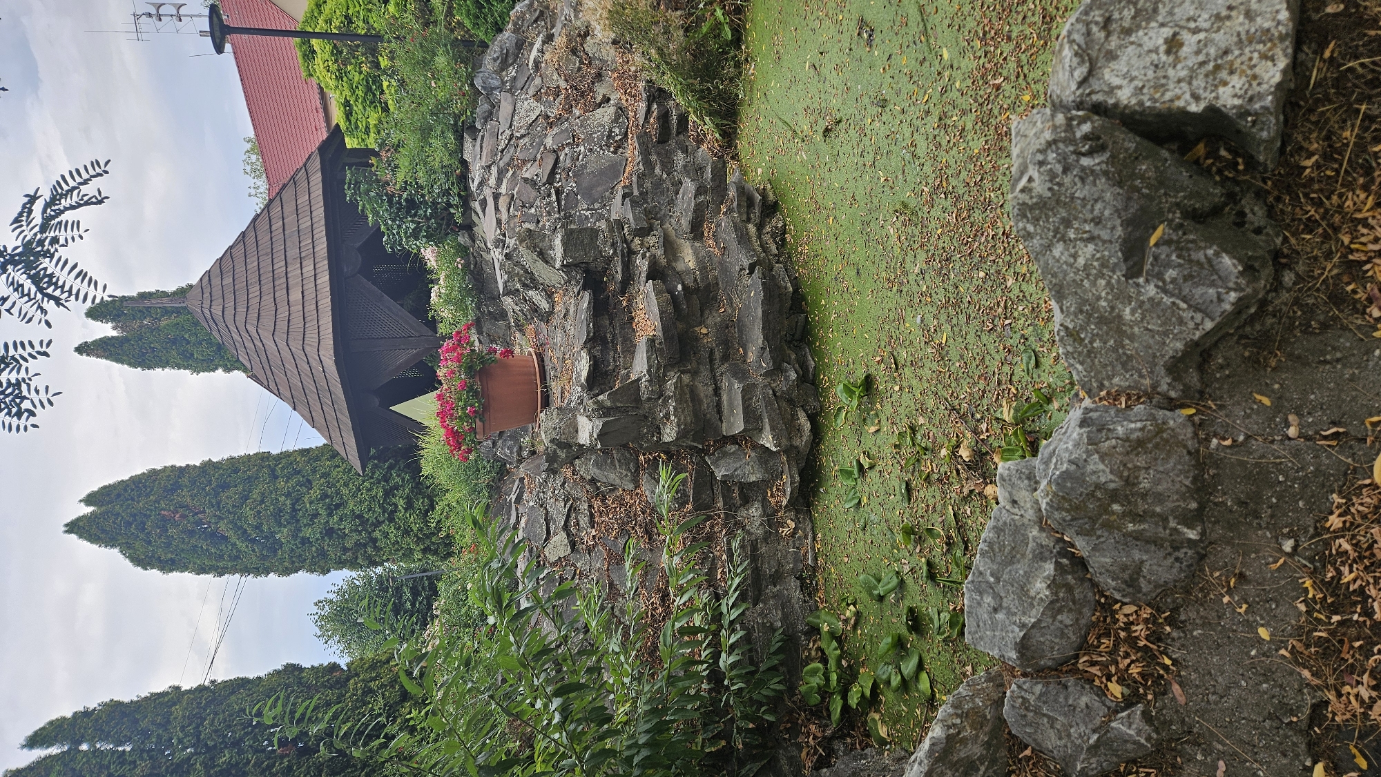 The image depicts an outdoor scene with a small, overgrown pond in the foreground, covered in green algae and scattered leaves. Several large, grey rocks line the edge of the pond, with some forming a rough wall. Behind the pond, a rocky embankment rises, with dry leaves and some greenery. On the embankment, a terracotta pot overflowing with bright pink flowers is visible.

In the background, a wooden gazebo with a multi-layered, brown shingled roof stands. To the left of the gazebo, several tall, dark green cypress trees are prominent. To the right of the gazebo, a building with a red-tiled roof is partially visible, along with dense green foliage. The sky is overcast. The overall impression is of a slightly neglected, naturalistic garden setting. The location in the city of Veľké Slemence, Slovakia is confirmed by the surrounding architecture and vegetation which is typical for that region. There are no people or animals visible in the image, and no actions or interactions are taking place.