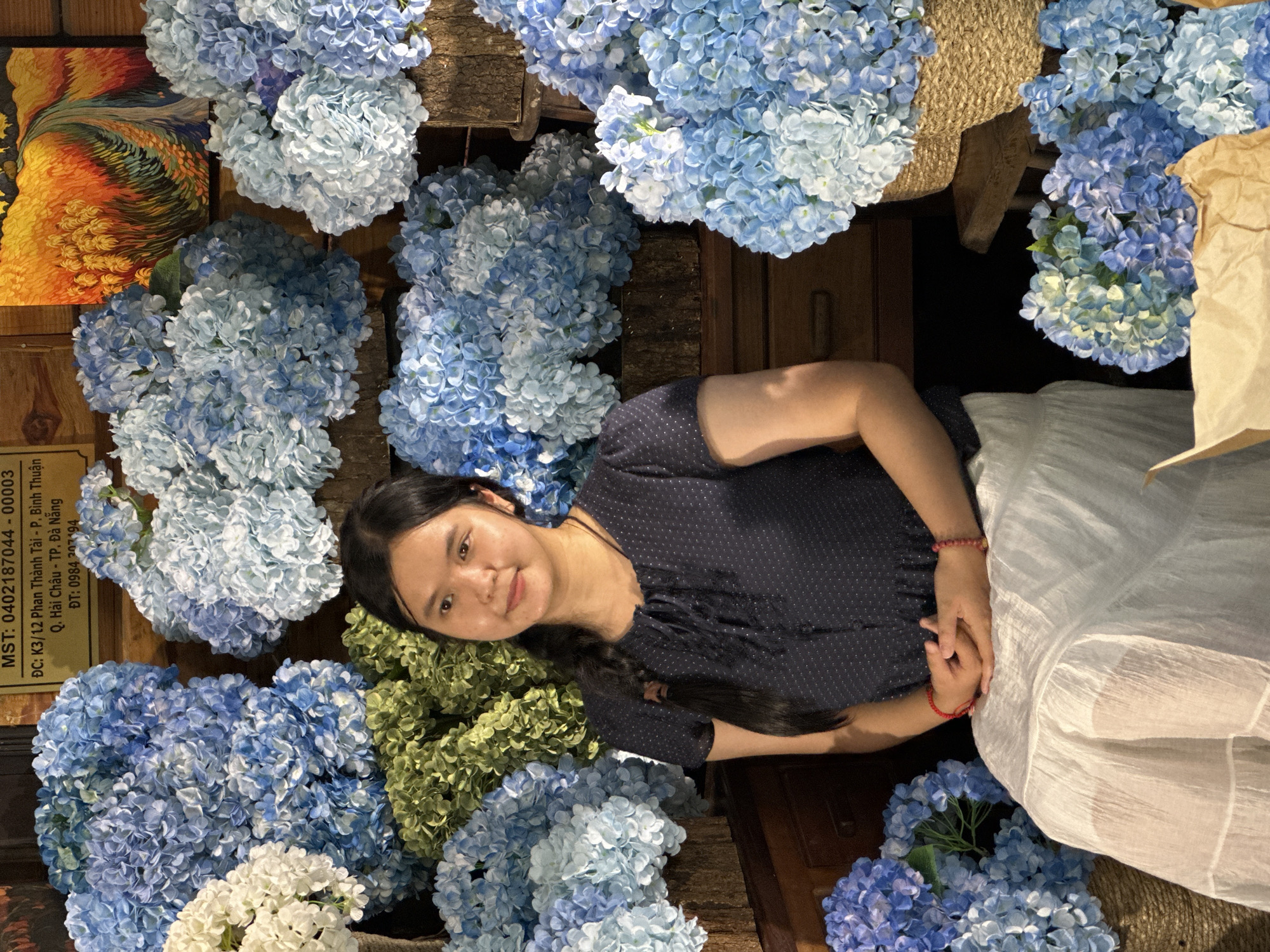 This image features a young woman in a dark, polka-dot top and a white skirt, lying down amidst a profusion of blue and green hydrangeas. Her head is tilted, and she is looking towards the camera with a gentle smile. She is holding hands with another person, whose hand is adorned with a red bracelet, and whose arm is also wearing a similar bracelet. The setting appears to be indoors, possibly a shop or a decorated space, with a wooden background and some burlap or woven material visible. The hydrangeas are the dominant visual element, creating a lush and vibrant environment around the woman.
A sign with Vietnamese text is partially visible on the left side of the image. The text includes "MST: 0402187044-00003," "ĐC: K3/12 Phan Thành Tài - P. Bình Thuận Q. Hải Châu - TP. Đà Nẵng," and "ĐT: 0984 207194," indicating the location is Da Nang, Vietnam. The overall mood is serene and peaceful, with the soft lighting suggesting it might be daytime. The woman's relaxed posture and the surrounding flowers evoke a sense of tranquility and natural beauty.