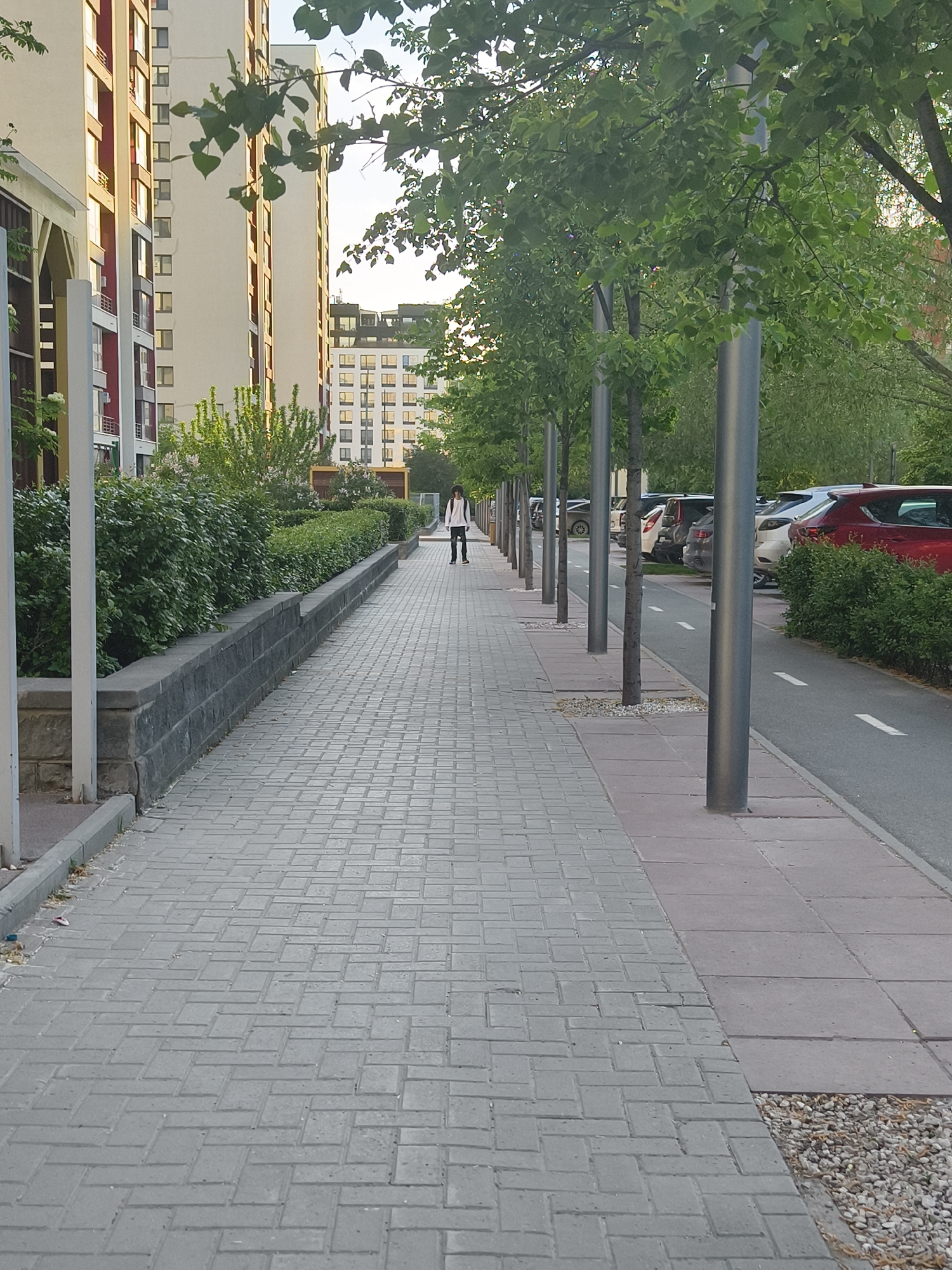 The image shows a long, paved pedestrian walkway in Tyumen, Russia. The walkway is lined on the left by a low stone wall topped with hedges. On the right, a row of evenly spaced trees stands between the walkway and a parking area. Multiple parked cars are visible, including a red Mazda. A person wearing white clothing and dark pants walks distantly along the walkway. The walkway is made of grey, rectangular paving stones. Buildings, likely apartments, can be seen in the background. The lighting suggests it is daytime. The sky is partially visible through the trees.