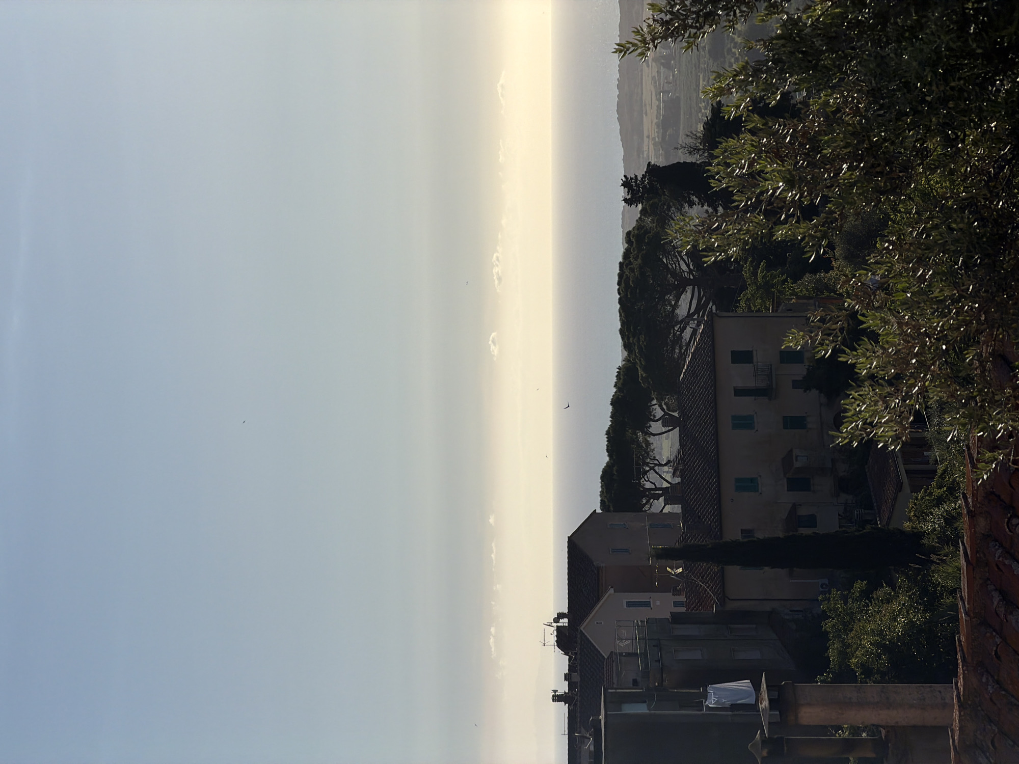 The image depicts a scene in Castagneto Carducci, Italy, as viewed from an elevated position. The sky occupies the left portion of the frame, transitioning from a light blue hue to a hazy, bright band on the horizon where it meets the sea. The buildings are stacked closely together, typical of an Italian hilltop town. The architecture features terracotta roofs and varying building heights. The vegetation includes mature trees with dense foliage, framing the right side of the image.