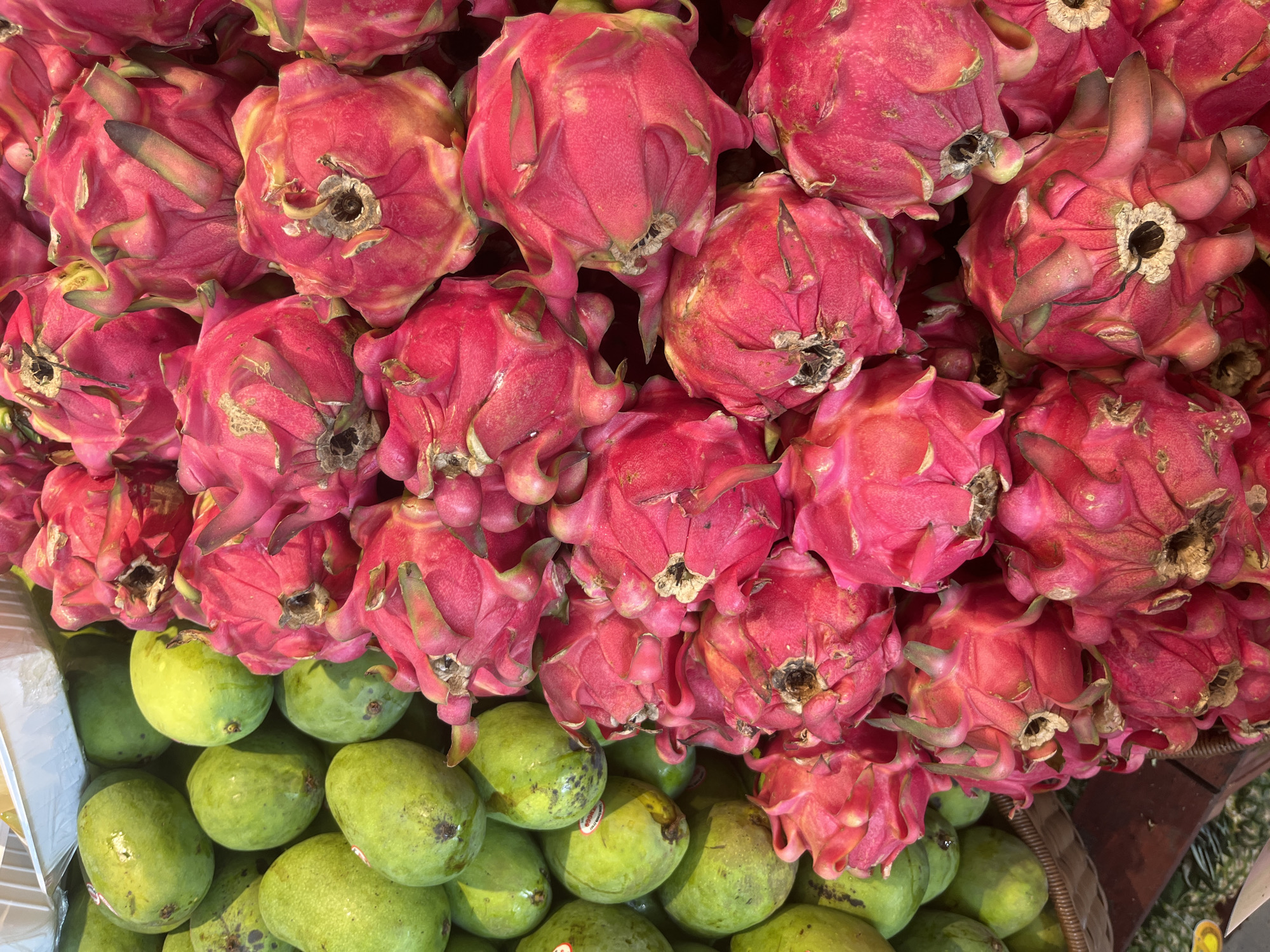 The image shows a close-up of a display of fruits in North Kuta, Indonesia. The upper portion of the image is filled with red dragon fruits. The lower portion consists of green mangoes.