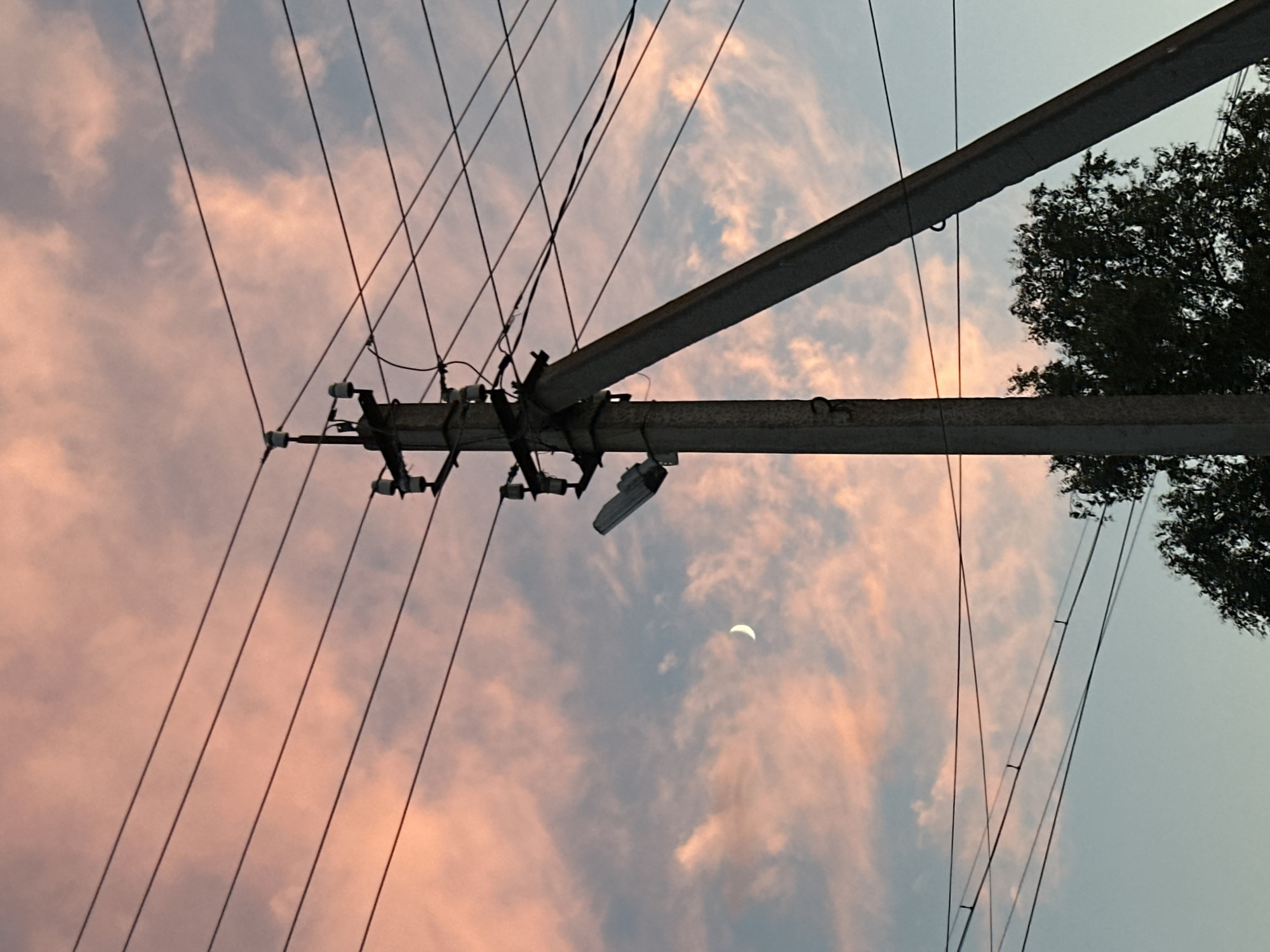 An outdoor, medium shot photograph captures a utility pole and power lines against a dusky sky. The sky is a blend of soft pink and pale blue, with wispy clouds illuminated by the setting sun. A sliver of a crescent moon is visible in the upper left quadrant of the image. The utility pole, made of concrete, is positioned in the center, with a diagonal support beam extending to the right. Multiple black power lines crisscross the frame, some taut and straight, others with a slight sag. A street lamp is attached to the pole. In the lower right corner, the top of a dark green tree with dense foliage is visible. The scene is static and devoid of human presence.