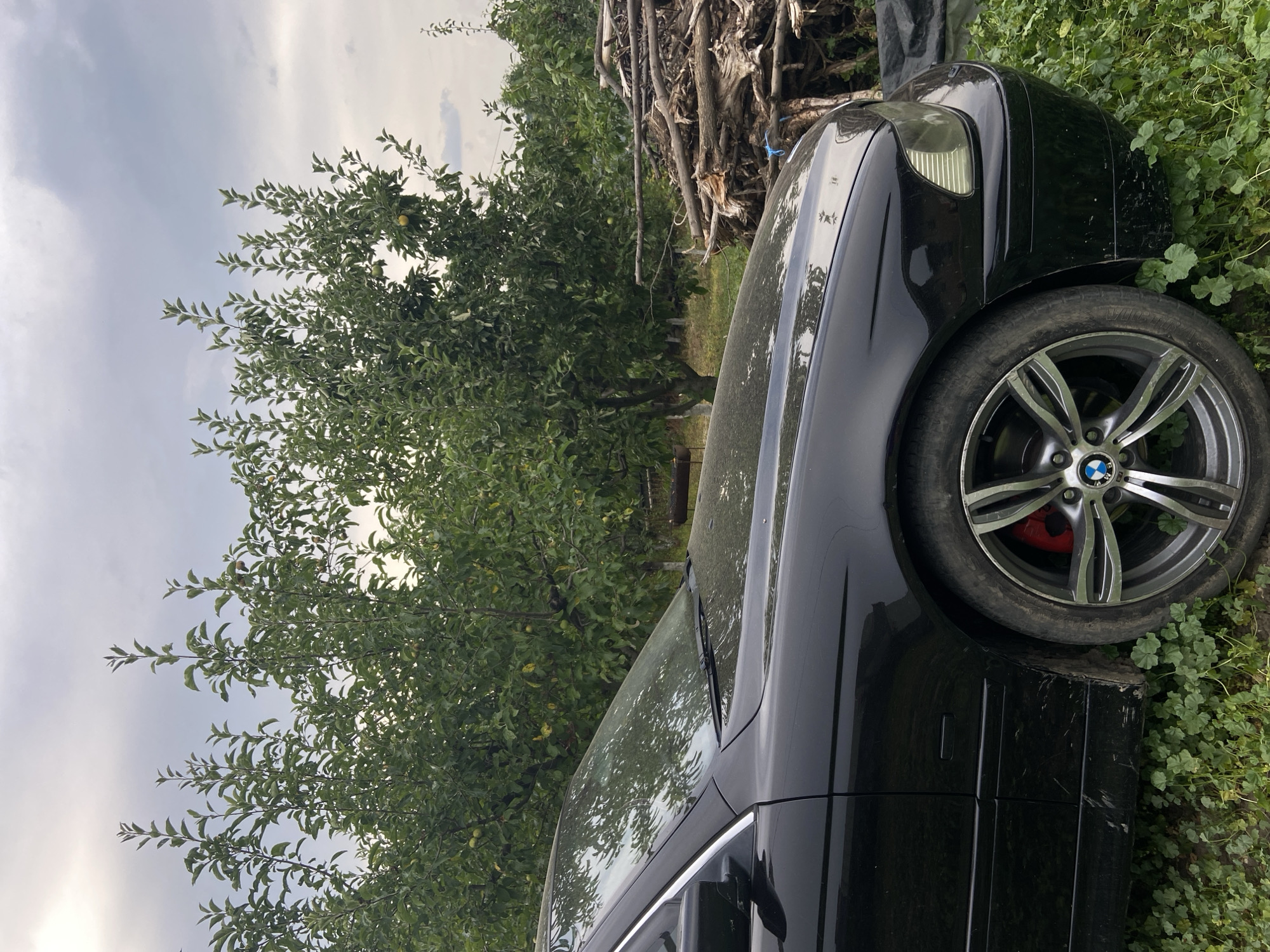 A black BMW sedan is parked on a grassy area with scattered green clover. The car is viewed from the side, with its front fender and wheel prominently displayed. The wheel is a silver multi-spoke alloy with a red brake caliper visible. Behind the car, a dense arrangement of trees with green leaves and some visible fruit, possibly apples, forms a backdrop. The sky above is overcast with grey clouds. To the right of the trees, a large pile of cut branches and logs is stacked. The overall scene suggests an outdoor setting, possibly a rural or semi-rural location.