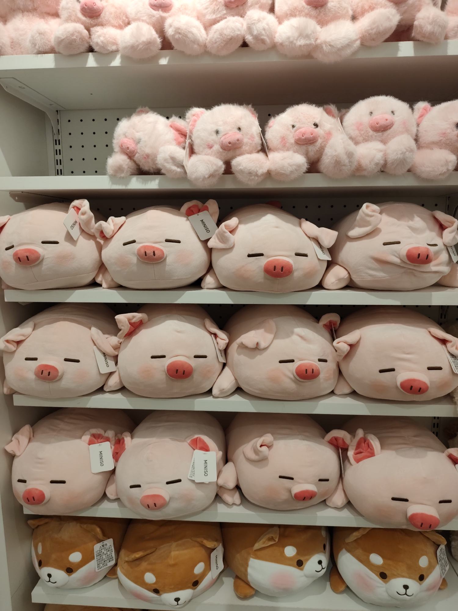 A multi-tiered shelf display features numerous plush toys, primarily in the shape of pink pigs with closed eyes and blush marks, and some dog-shaped plush toys with brown and white fur. The pigs are arranged on the top three shelves, with several toys on each shelf. The dog toys are on the bottom shelf. Most of the pig toys have small white tags attached, some displaying the word "MINISO". The shelves are white and appear to be in a retail environment. The background is a plain white wall with some vertical black lines visible on the upper right. The lighting is bright and even. The image does not provide information about the city of Daqing, China.