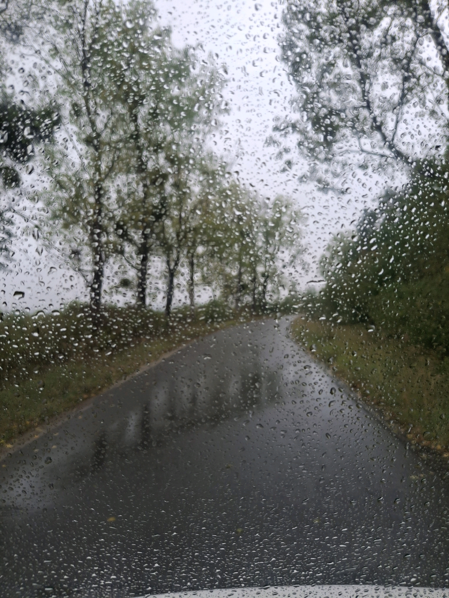 An overcast day with rain is depicted through a window covered in water droplets. A paved road, appearing wet and reflective, curves into the distance, bordered by trees and vegetation on either side. The trees have sparse foliage, suggesting either the tail end of autumn or early spring. The overall scene conveys a sense of melancholy or quietude, possibly captured from within a vehicle or a building overlooking the road. There are no people or specific landmarks visible to pinpoint the exact location within Berezhnytsia, Ukraine, beyond it being a rural or semi-rural setting.