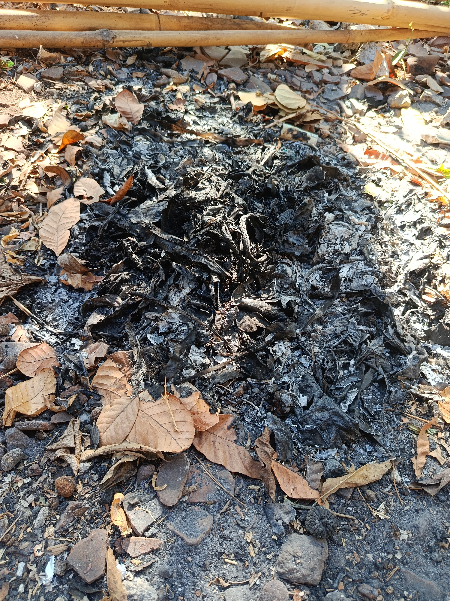 The image shows a pile of ashes and burnt debris on the ground, surrounded by dry leaves and some pieces of broken pottery. In the background, there are several bamboo poles lying horizontally. The scene appears to be outdoors, possibly in a rural or backyard setting in Karangmojo, Indonesia, given the presence of natural materials and common debris. There are no people or animals visible in the image. The lighting suggests it is daytime, with sunlight casting shadows on the ground. The overall impression is one of a recent fire or the aftermath of burning.