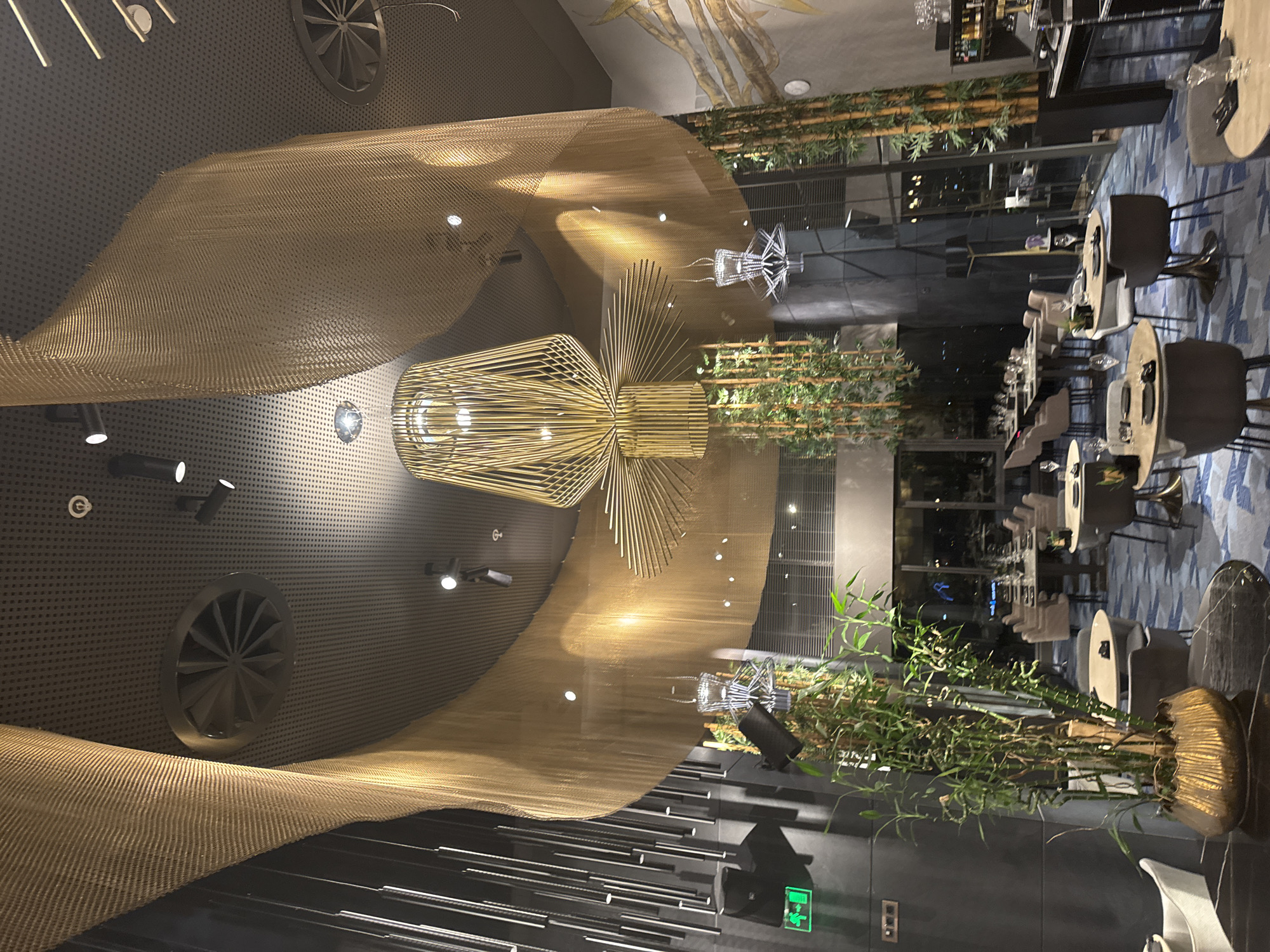 The image captures an interior scene, seemingly of a restaurant or upscale lounge. A prominent decorative installation hangs from the ceiling, featuring a curved, shimmering metallic mesh that sweeps across the frame, intersecting with a gold-toned chandelier of radiating linear elements.
The background reveals a dining area with tables and chairs, some set with place settings. Floor-to-ceiling windows offer a glimpse of the exterior, though details are obscured by the night setting. Vertical greenery lines the windows, adding a natural element to the modern interior.
The ambiance suggests a sophisticated, dimly lit setting, likely in Sofia, Bulgaria, based on the style and architecture typical of urban areas. The scene focuses on the interior design and ambiance of the establishment.