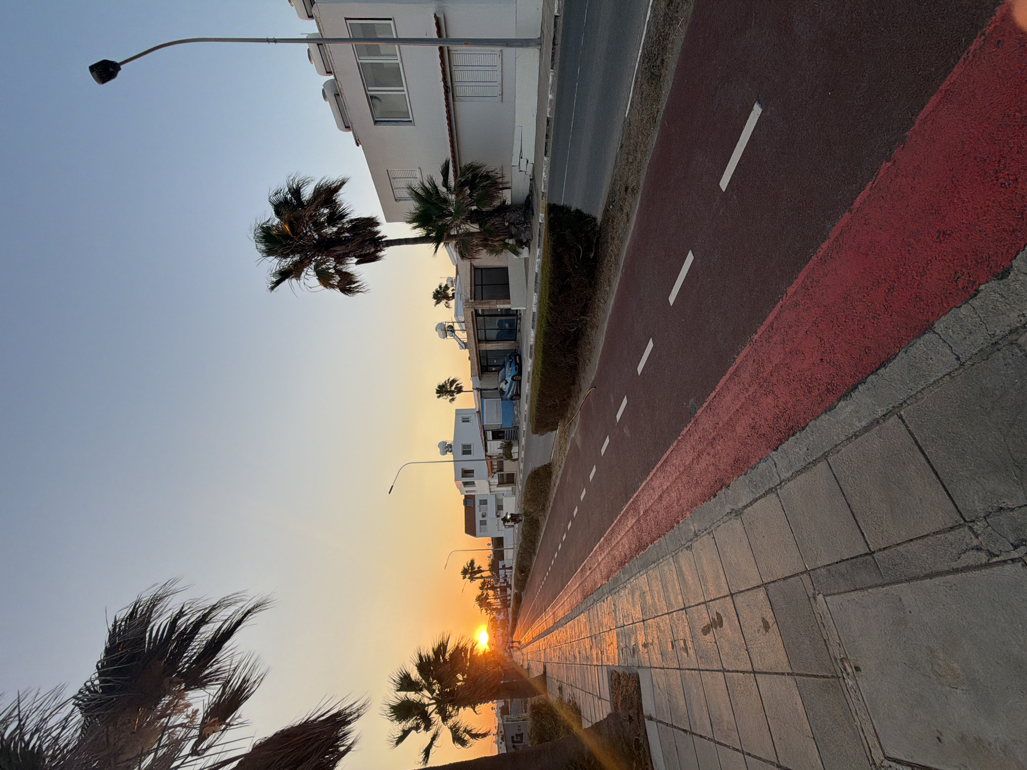 The image depicts a coastal road in Meneou, Cyprus, during sunset. A paved walkway, constructed of square grey tiles, runs along the left side of the road, reflecting the warm orange and yellow hues of the setting sun. The walkway is bordered by a red-striped bike lane, which is further separated from the road by a dark grey asphalt surface. The road itself features white dashed lines marking the lanes.
Along the right side of the road, a row of white, two-story buildings with shutters and solar water heaters on their roofs are visible. Palm trees with lush green fronds line the walkway and stand near the buildings, their silhouettes stark against the clear sky. One prominent street lamp with a dark fixture stands tall near the buildings. A blue car is parked on the side of the road, and a person on a motorcycle is seen in the distance on the walkway. The sky transitions from a bright orange near the horizon to a pale blue overhead. The overall scene conveys a tranquil evening atmosphere along the Mediterranean coast.