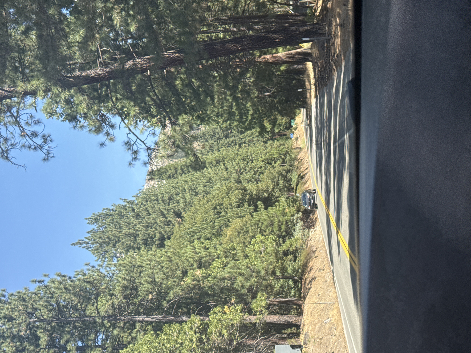 A black SUV drives along a two-lane asphalt road winding through a dense forest in Kyburz, California. The road is marked with a yellow double line and white dashed lines. The right side of the road is lined with tall pine trees and dry, brown undergrowth, with some pinecones scattered on the ground. The left side of the road features a steep, rocky incline covered in trees and brush. The sky above is clear and blue. The image appears to be taken from inside a vehicle, with the dashboard visible in the foreground.