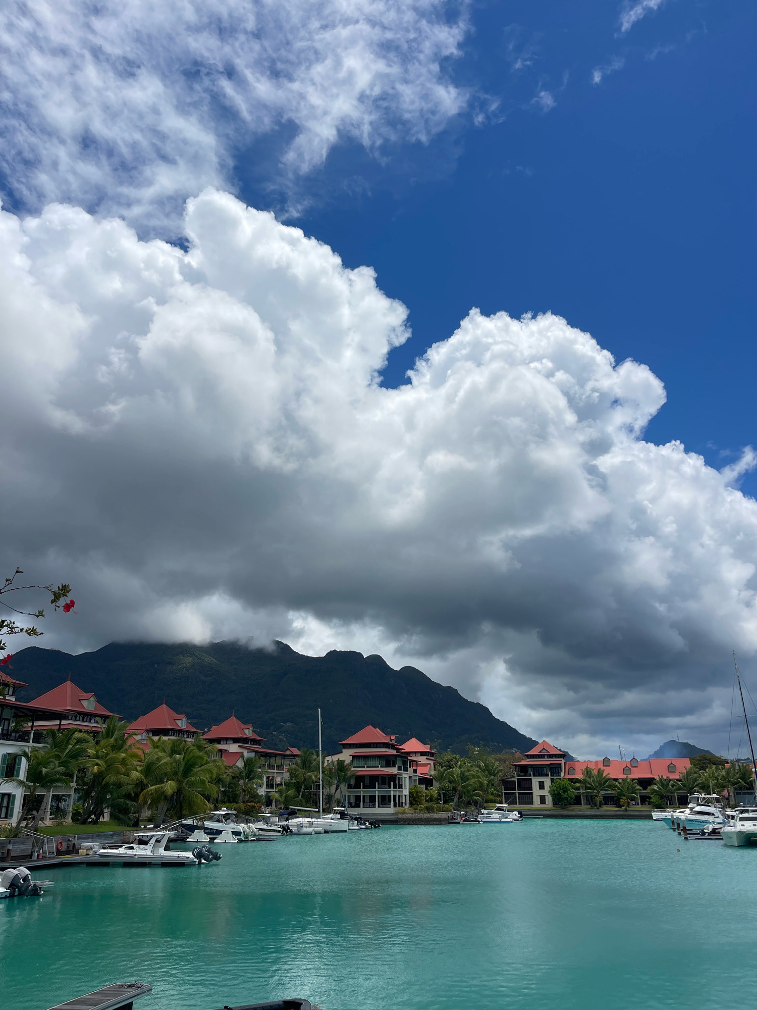 The image depicts a scenic view of a marina in Providence, Seychelles. The foreground is dominated by calm, turquoise water with several boats docked along the left and right sides of the frame. The boats range in size, with some appearing to be smaller motorboats and others larger vessels.
In the middle ground, a row of buildings with distinct red-tiled roofs lines the waterfront. These buildings feature a colonial architectural style, with balconies and verandas. Palm trees are interspersed between the buildings, adding to the tropical ambiance.
The background is characterized by a large mountain range covered in lush green vegetation. The lower slopes of the mountains are partially obscured by dark, dramatic clouds, while the upper peaks are visible against a bright blue sky. The sky itself is a mix of deep blue and large, fluffy white clouds, some of which are tinged with grey, suggesting the possibility of changing weather.
A branch with two small red flowers is visible in the upper left corner, adding a subtle touch of color to the scene. The overall impression is one of a tranquil, luxurious tropical resort.