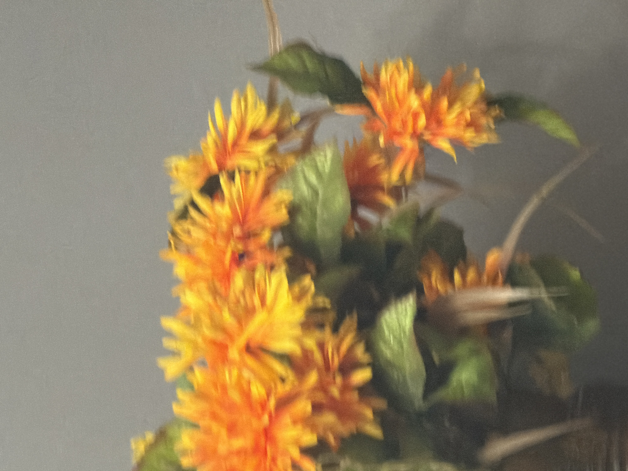 A close-up, blurry shot of orange and yellow flowers with green leaves against a gray background.