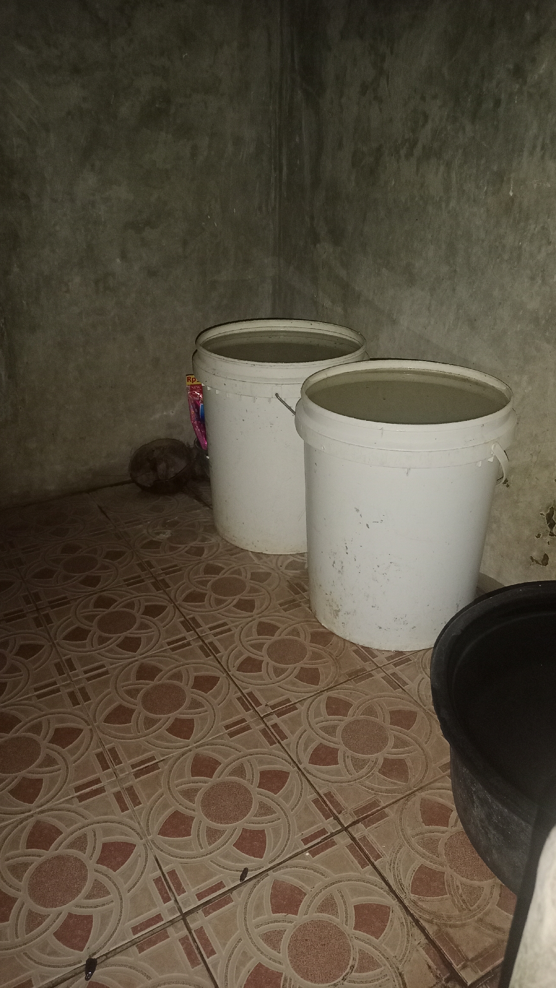 In Desa Burujul Jaya, Indonesia, a dimly lit, concrete-walled room contains two white plastic buckets filled with water, placed on a tiled floor. The tiles are brown and patterned with interlocking circular designs. A dark, possibly plastic, container is partially visible in the foreground on the right. In the background, to the left of the buckets, a dark, rounded object, possibly a turtle or a rock, sits near the wall. A partially visible, colorful package is tucked behind the bucket on the left. The overall environment suggests a storage or utility area.