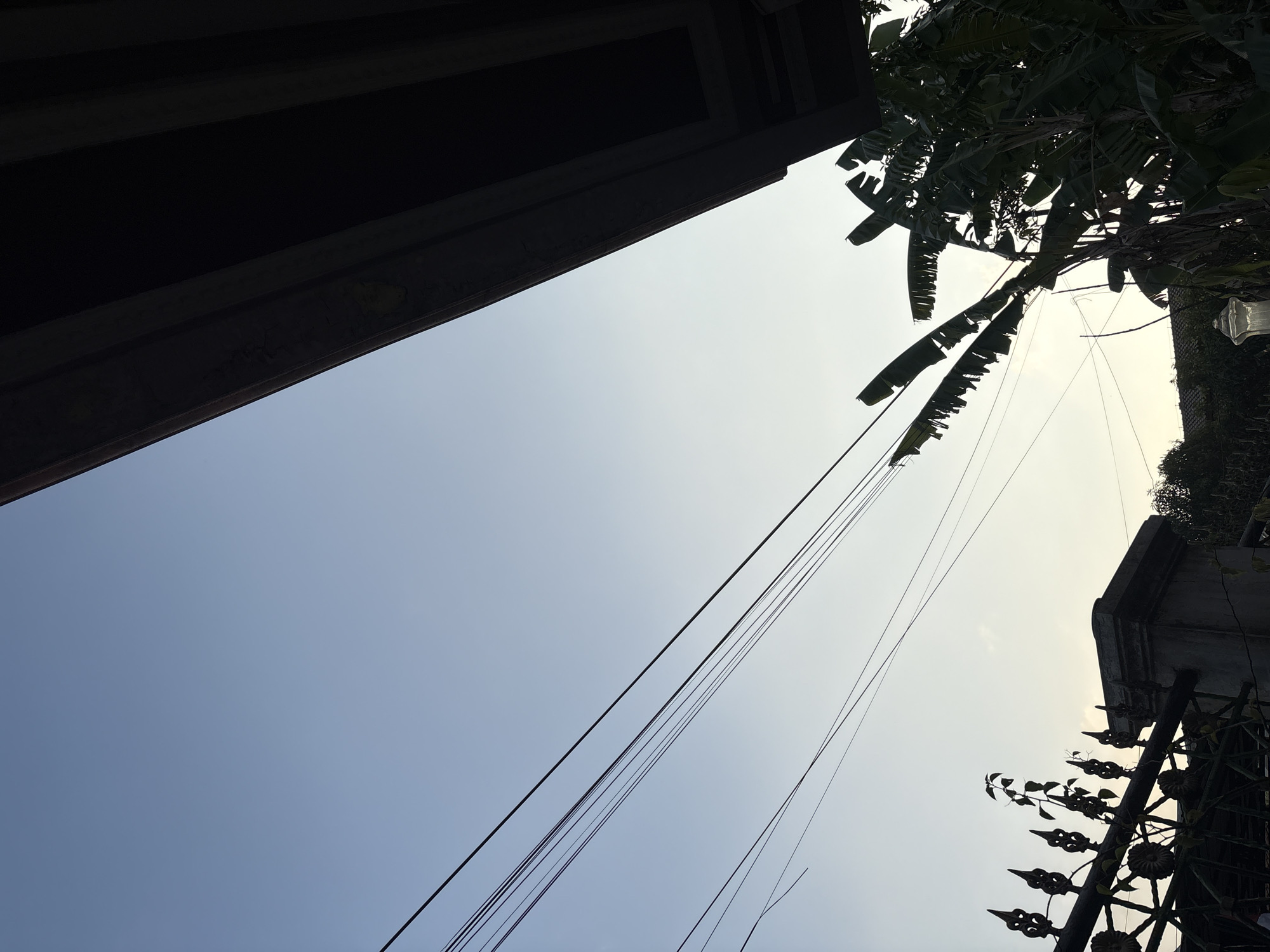 A wide shot captures the sky and a portion of a building in Palimanan, Indonesia. The sky is a clear, pale blue, transitioning to a lighter hue near the horizon. Diagonal lines of electrical wires stretch across the upper left quadrant of the image. A dark, angular structure, likely part of a building's overhang, dominates the upper right portion, casting a shadow. In the lower left, a decorative, spiked fence is visible in silhouette, with a small plant growing on top of it. A concrete pillar or post stands next to the fence. Silhouetted banana leaves and trees fill the lower right and center of the frame. The overall impression is a partially obscured view of an outdoor scene with a focus on the sky and natural elements against man-made structures.