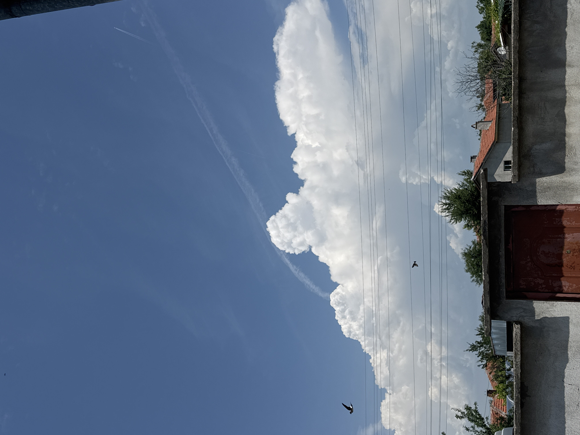 The image depicts a daytime scene in Sarnevo, Bulgaria, characterized by a predominantly clear blue sky with prominent white cumulus cloud formations, particularly dense in the mid-right. Two separate contrails are visible: a long, faint white contrail curves from the upper-left toward the mid-right, and a shorter, thinner contrail is present in the top-right quadrant. Two birds are in flight: one larger, dark-silhouetted bird is positioned in the mid-left, appearing to fly left, and a smaller, dark-silhouetted bird is located in the lower-middle, appearing to fly right. Multiple parallel utility lines traverse horizontally across the mid-section of the sky, above ground-level structures. The foreground features a weathered, light-grey concrete wall, behind which red-tiled rooftops of residential buildings are visible. A reddish-brown, metal gate, exhibiting signs of wear, is integrated into the left portion of the concrete wall. Various green trees and shrubs are interspersed among the houses, including a dense evergreen tree on the mid-left and a sparse-foliage tree on the mid-right. A small, white satellite dish is mounted on a rooftop in the right mid-ground.