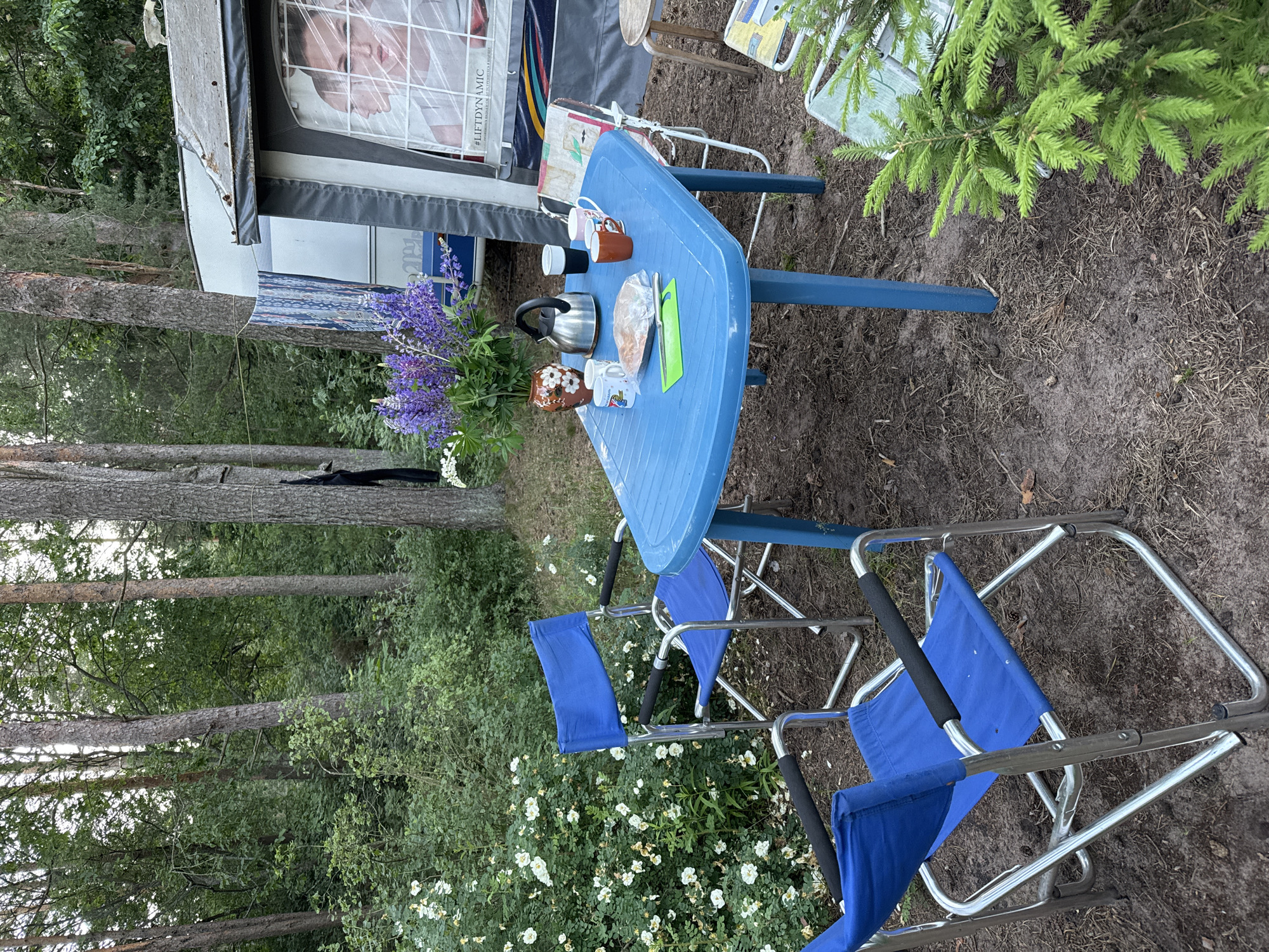 This image depicts an outdoor scene at a campsite, possibly in Ozerki (Krasnodolinskaya), Russia, during daylight hours. A blue plastic table is set up with two blue folding chairs on either side, facing the table. On the table, there is a silver teapot, several mugs, a loaf of bread in a plastic bag, a green cutting board, and a knife. A vase with purple lupine flowers and white wildflowers sits on the table as well. To the right of the table, a portion of a white caravan or RV is visible, with a tent awning extended. Through a window in the caravan, a person's face is visible, appearing to be behind a protective covering. In the background, tall pine trees and dense green foliage create a wooded environment. A clothesline with laundry is strung between trees near the caravan. The ground is covered with dirt, pine needles, and dry leaves. To the right foreground, a small evergreen tree is partially visible. The overall atmosphere suggests a moment of relaxation or meal preparation at a campsite.