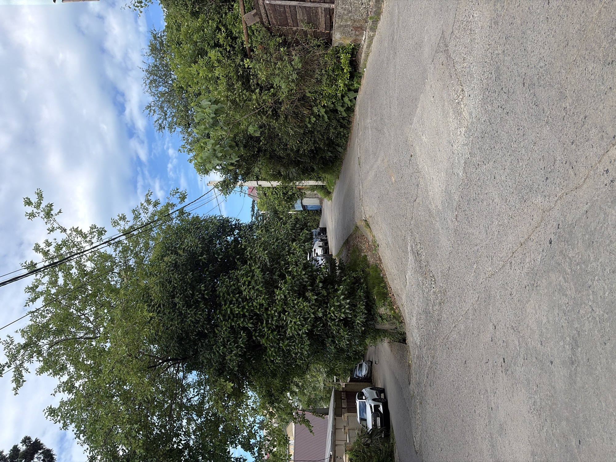 This image depicts a street scene in Sochi, Russia, on a cloudy day. The perspective is from the middle of a sloping, asphalt road that appears to be a residential street. The road forks, with the main path continuing upwards and to the right, and a smaller lane branching off to the left.
Several cars are parked along the sides of the road. On the left, a white SUV is parked in front of a house with a brown tiled roof and a beige fence. Further up the left lane, a few other cars are visible, including a dark-colored vehicle. Along the right side of the main road, a line of parked cars, including a white sedan and several dark vehicles, are heading up the incline.
Lush green trees and foliage heavily line both sides of the street, with a large, dense tree dominating the left side of the foreground. The vegetation is thick and varied, suggesting a well-established, possibly suburban or semi-rural, area. Power lines are visible overhead, strung between poles, and crisscross the sky. The sky is a mix of blue sky and white, puffy clouds. A weathered wooden fence runs along the right edge of the road in the midground. The overall impression is one of a quiet, tree-lined residential street.