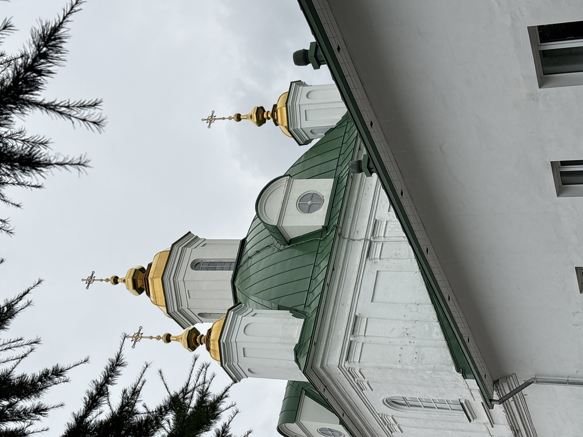 The image shows the exterior of the Holy Trinity Cathedral in Perm, Russia, on an overcast day. The cathedral features white walls, a green metal roof, and gilded domes topped with crosses. The branches of a dark green coniferous tree frame the top of the image. In the foreground, a section of a white building with a green roof is visible. The weather appears damp, with water droplets visible on the foreground roof and along the gutter. No people are visible in the scene.