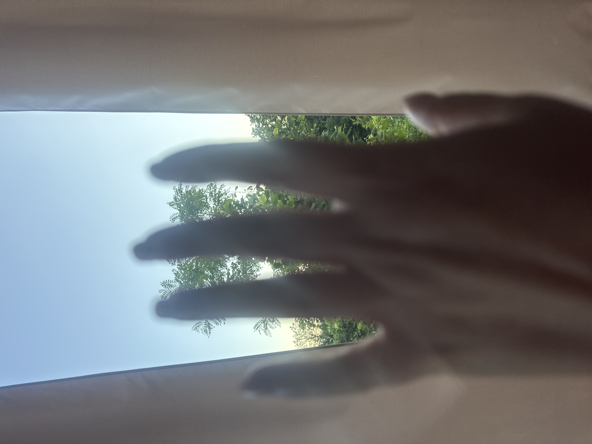 An out-of-focus, close-up view of a hand is positioned in the foreground, obscuring a portion of the background. The hand, with its fingers splayed, appears to be pressed against a translucent surface, possibly a window with a sheer curtain. Through the translucent barrier and around the edges of the hand, a bright blue sky is visible, with the tops of lush green trees suggesting an outdoor, natural environment. The overall impression is that of someone looking out from an interior space to the outside world. The context of Sochi, Russia, is not visually evident in the provided image.