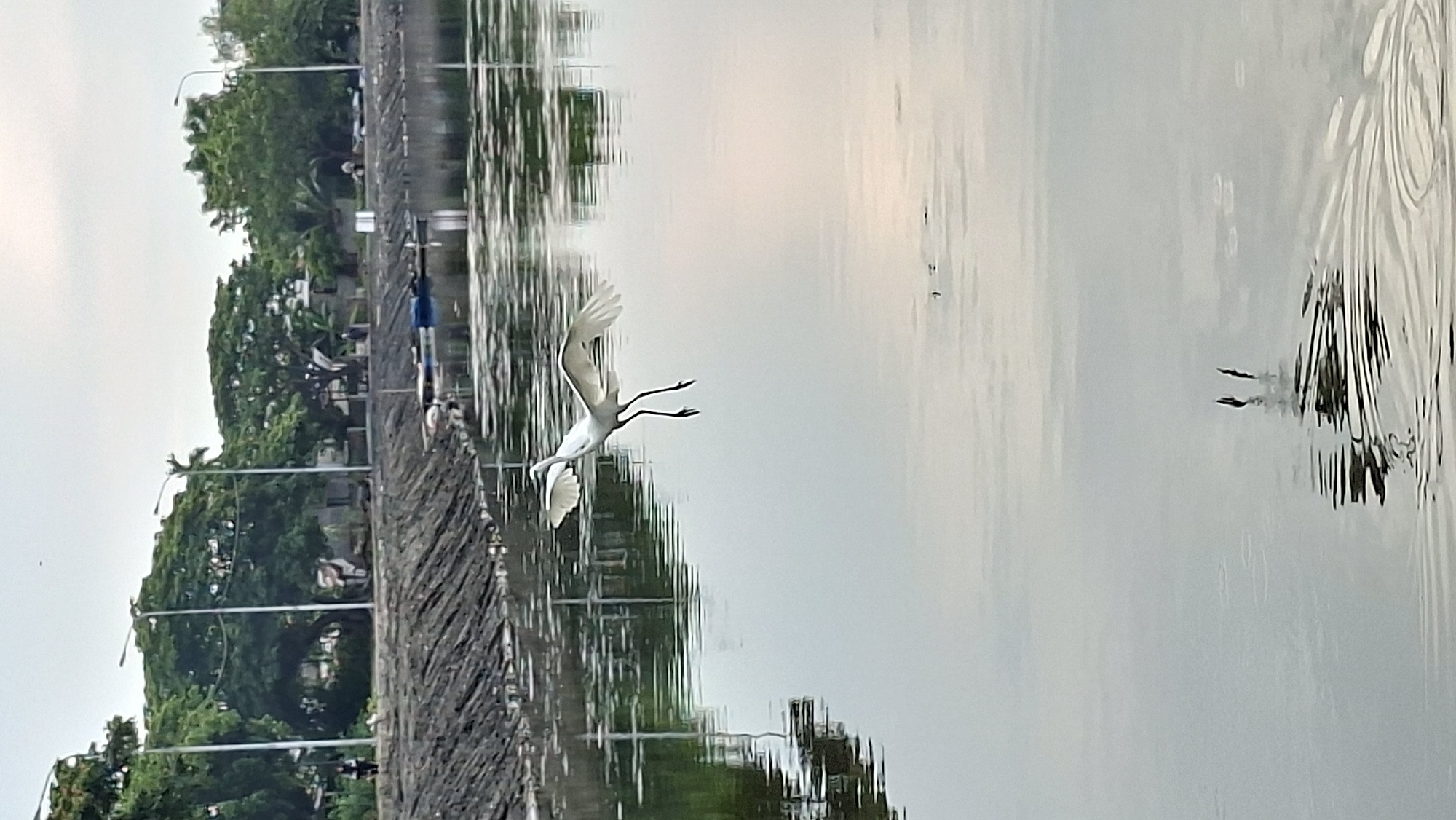 A white egret is captured mid-flight over a body of water in Lhokseumawe, Indonesia. The egret has its wings spread wide and its legs extended downwards. The water reflects the cloudy sky and the surrounding greenery. In the background, a concrete embankment lines the water's edge, with trees and some distant buildings visible. There are a few people walking along the embankment and some small boats on the water. The scene appears to be a calm, natural setting within the city.