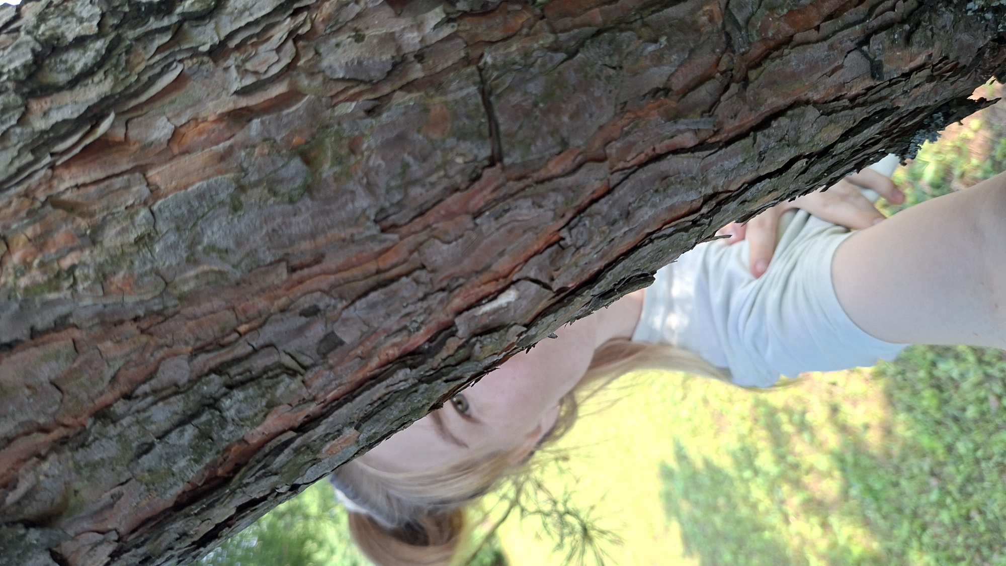 A young blonde girl, partially obscured by a tree trunk, looks towards the camera. She has her hair in a bun. She is wearing a light colored t-shirt. The background shows a grassy area with some dappled sunlight. The image appears to be taken outdoors in a natural setting. It is not possible to determine the specific location within Большой Букор, Russia.