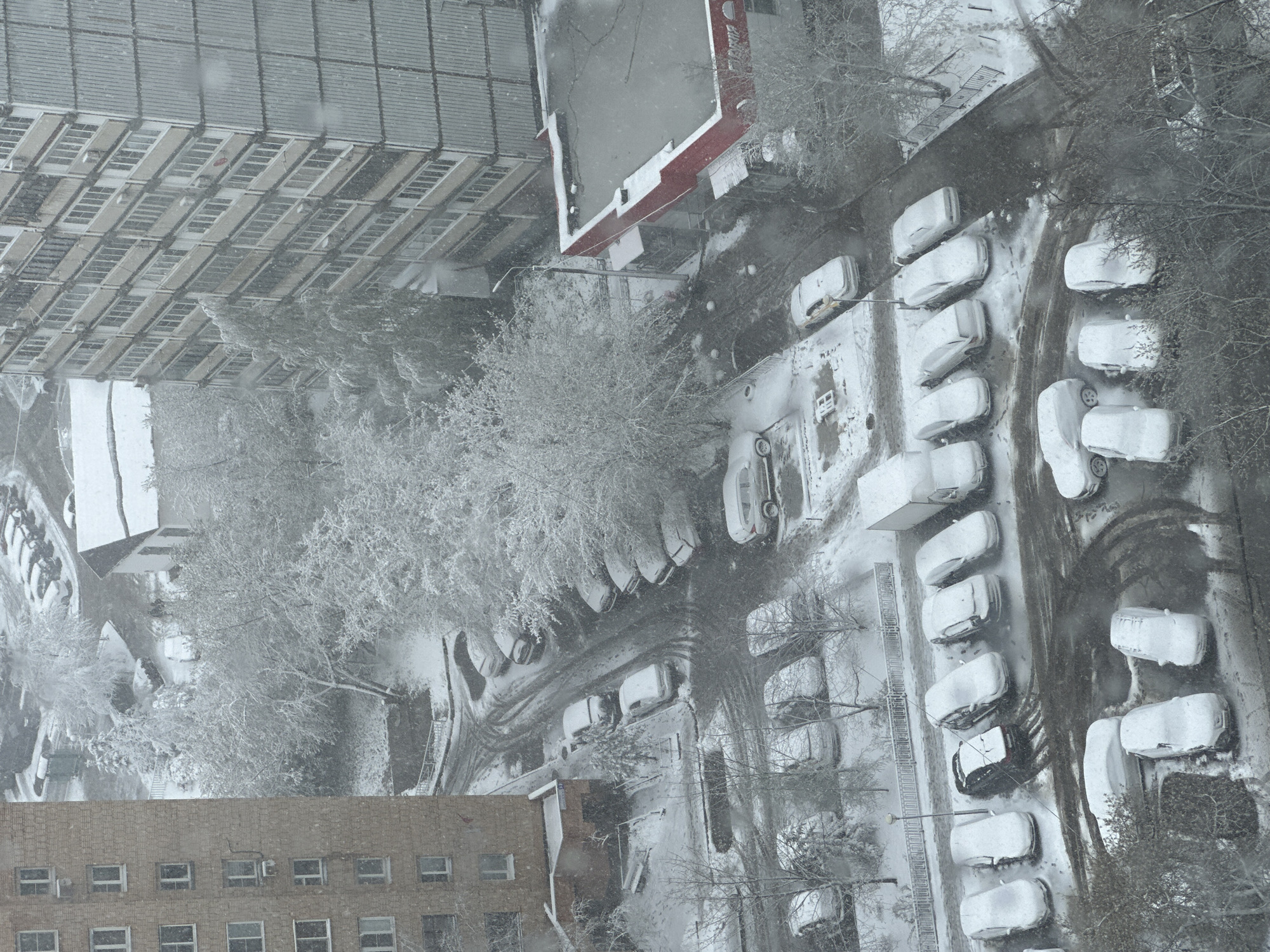 This is an aerial view of Krasnogorsk, Russia, during a snowfall. The scene shows several buildings, including a large, rectangular building with multiple windows at the bottom and a warehouse-style building with a corrugated roof at the top. Between these buildings is a parking lot covered in snow with numerous parked cars, also covered in snow. Bare trees are scattered throughout the scene. The ground and rooftops are blanketed with snow, and the overall lighting suggests overcast conditions.