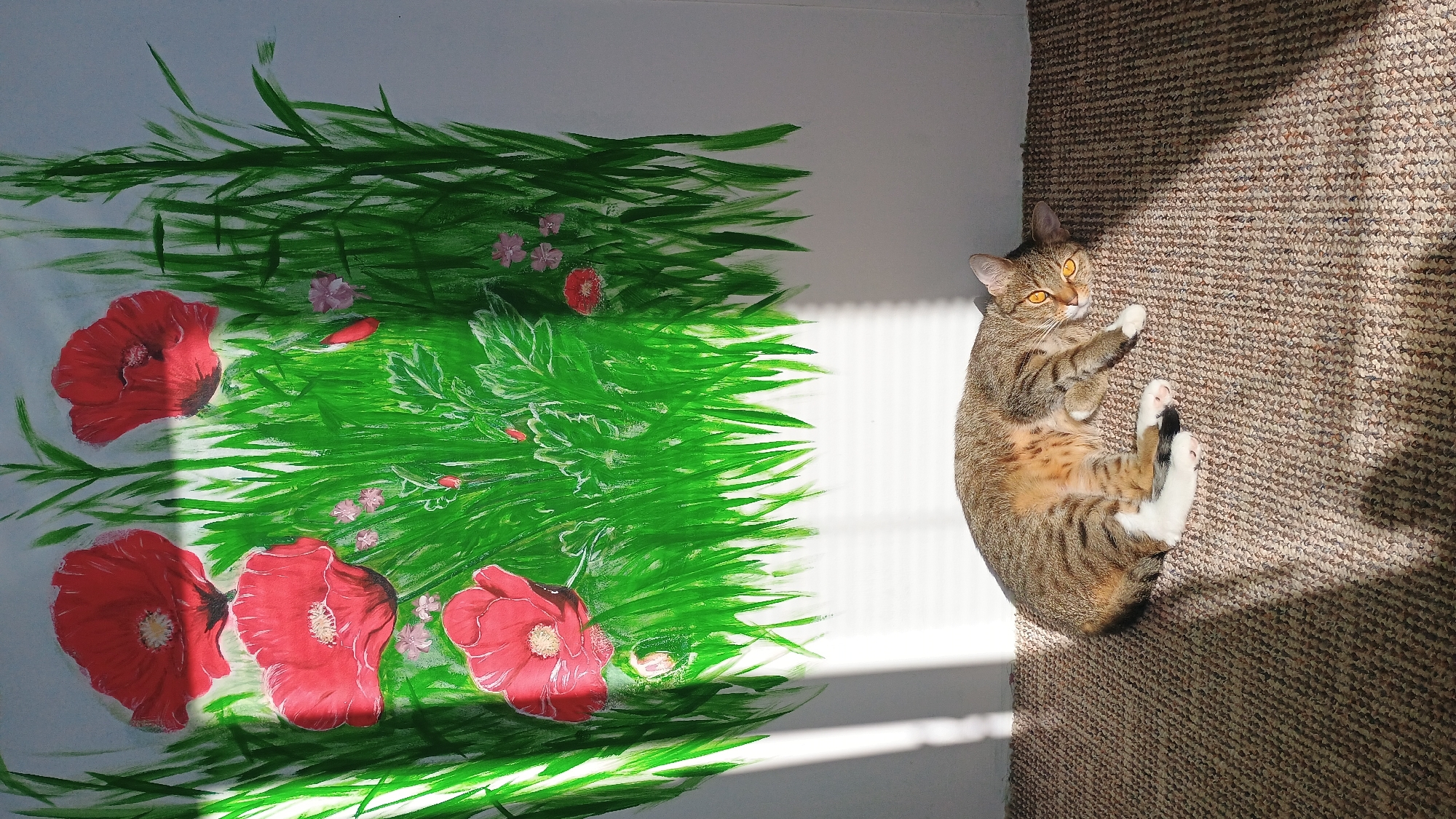 A tabby cat with orange eyes lies on a textured, brown carpet, basking in sunlight that casts diagonal shadows from window blinds. The cat is curled on its side, with its paws tucked and its head turned towards the viewer. Behind the cat, a wall is decorated with a painting of red poppies and green grass. The painting is rendered in a somewhat abstract, impressionistic style, with broad strokes of green for the grass and vibrant red for the poppies. The sunlight illuminates the lower portion of the wall and the carpet, creating a contrast between the lit and shadowed areas. The scene appears to be indoors, possibly in a residential setting, though specific details about the city of Sokolov, Czechia, are not discernible from the visual information provided.