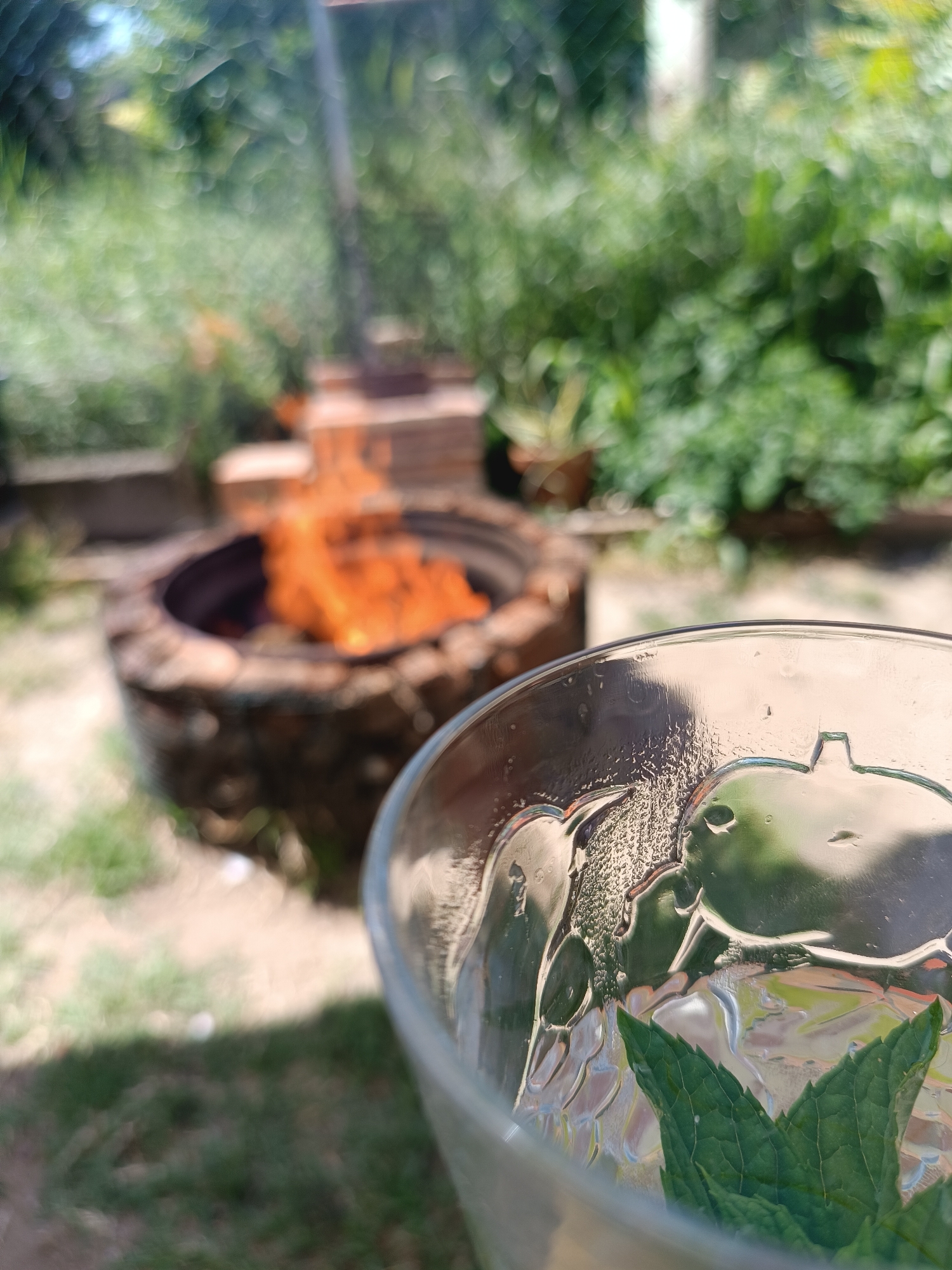 The image shows a close-up of a glass containing ice and mint leaves, positioned in front of an outdoor fire pit. The fire pit, constructed from what appears to be a tire and bricks, contains a vibrant orange flame. The background consists of green vegetation and a chain-link fence. The location is Viadana, Italy. The specific interactions, if any, are not discernible.
