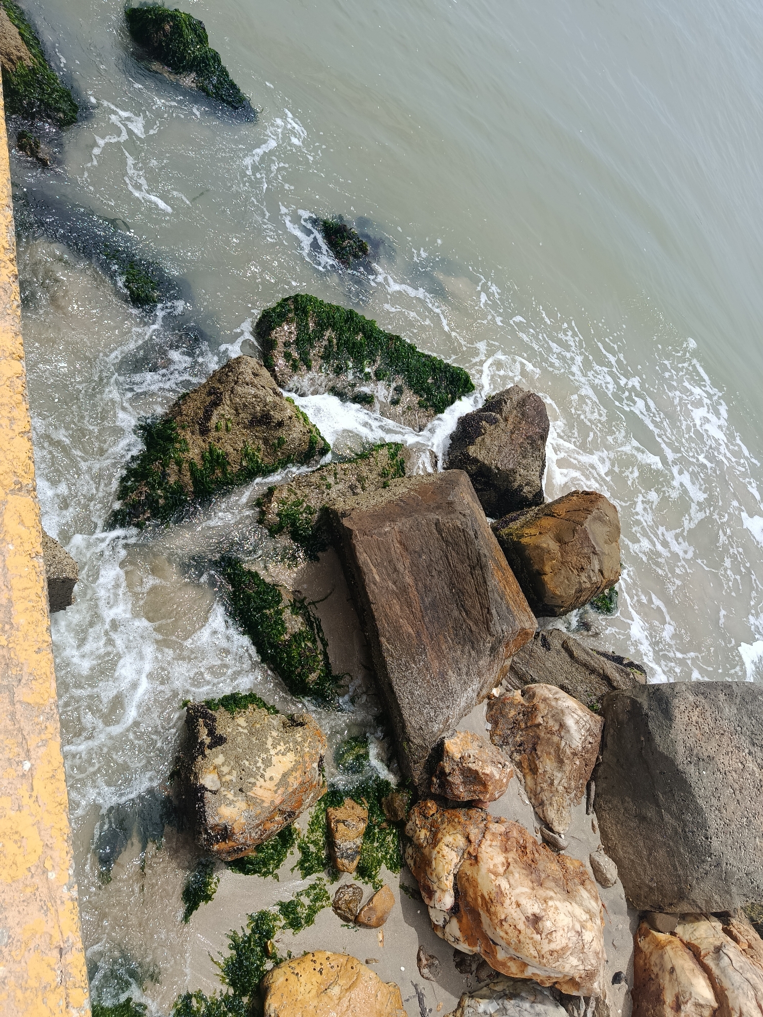 The image depicts a rocky shoreline in Juan Griego, Venezuela. The location features a yellow-painted concrete structure along the left edge, suggesting a pier or retaining wall. Various rocks, ranging in size from small pebbles to larger boulders, are scattered along the shore. Some of the rocks are covered in green algae or seaweed. Water flows around the rocks, creating a foamy effect. The water appears turbid and light gray in color. The foreground contains a mix of wet sand and rock formations, while the upper right section shows open water. No people are visible. The scene is a typical coastal environment with evidence of wave action and marine life.
