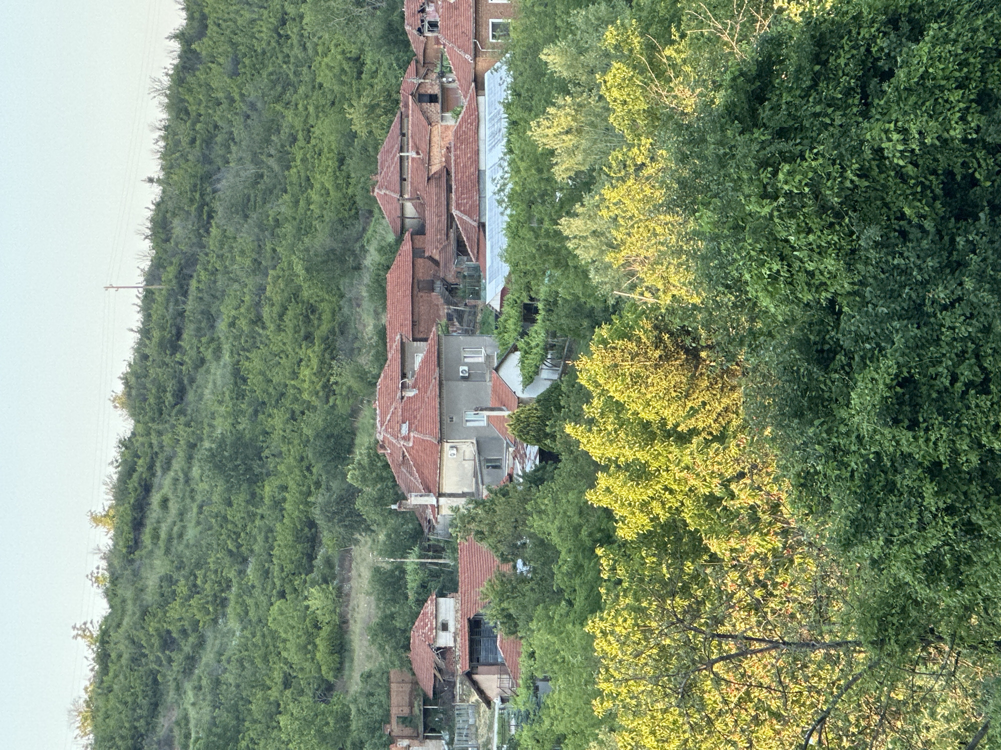 The image presents a serene view of a village, likely Slavyani, Bulgaria, nestled into a lush, green hillside under a clear sky. The scene is dominated by dense vegetation, with trees covering the hillside and surrounding the houses.
In the upper portion of the frame, a bright, clear sky meets the top of a thickly forested or bushy hill. A few power lines and a utility pole are visible along the ridge against the sky.
The central part of the image features a cluster of houses with distinctive red-tiled roofs, built along the slope of the hill. These structures are partially hidden by the surrounding trees, suggesting a harmonious integration of human settlement with the natural landscape. One elongated, light-colored roof section among the houses could be a greenhouse or solar panels. The architecture appears traditional.
The lower and right-hand sections of the image are filled with verdant foliage, consisting of various trees and bushes. Some of these trees, particularly towards the right, are bathed in a warm, golden light, indicating that the photograph was taken during the late afternoon or "golden hour." No specific human activity or people are visible, contributing to a peaceful and undisturbed atmosphere. There is no visible text in the image.