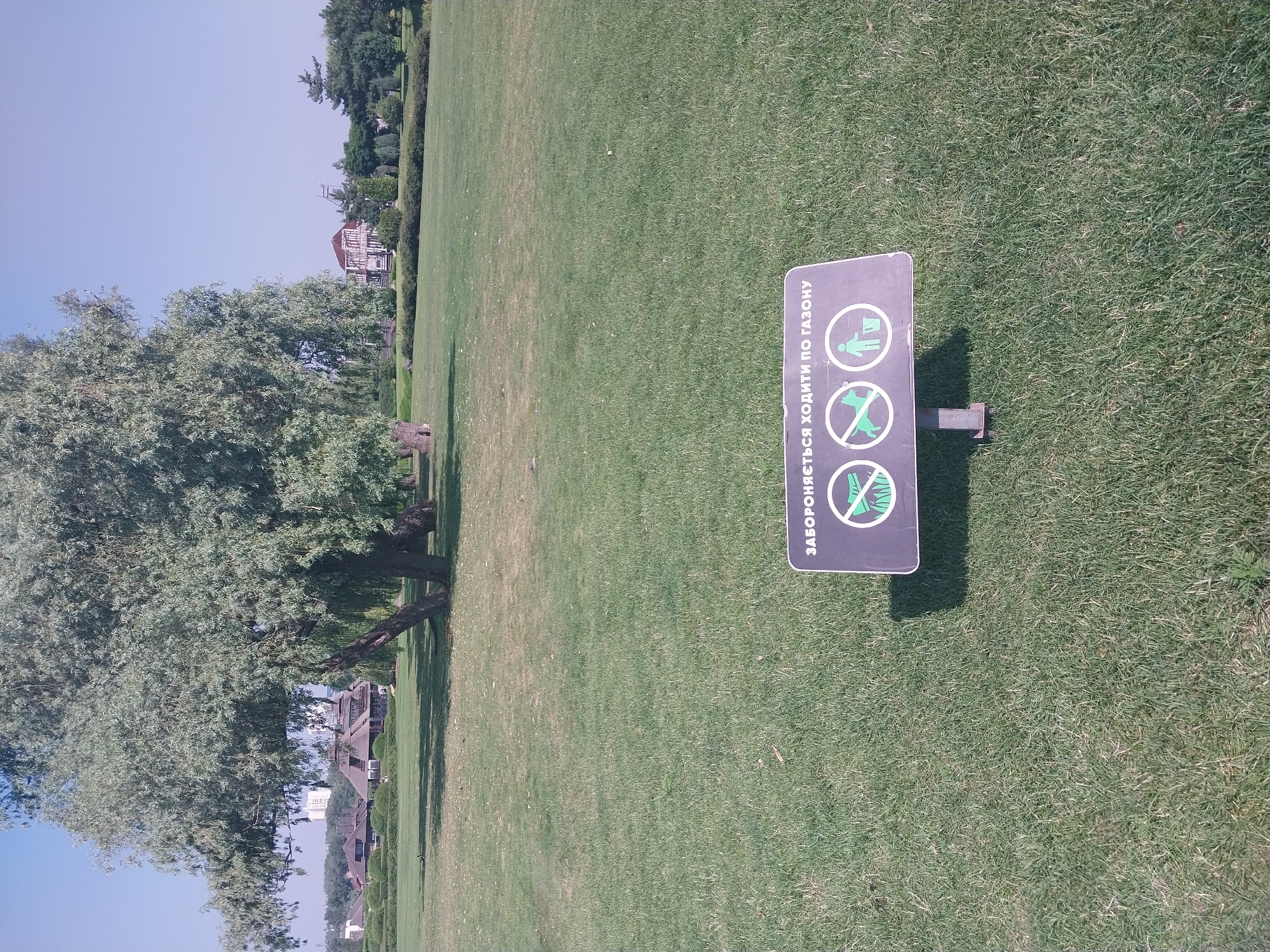 An outdoor scene captures a park with a large tree in the foreground and a sign in the middle ground. The sign, dark purple with white symbols and text, reads "ЗАБОРОНЯЄТЬСЯ ХОДИТИ ПО ГАЗОНУ", which translates to "It is forbidden to walk on the lawn." It features three prohibition symbols: a foot with a line through it, a dog with a line through it, and a person with a trash can with a line through it. The background shows a well-manicured lawn, manicured bushes, buildings with distinctive architecture, and trees under a clear blue sky. The lighting suggests it is daytime.