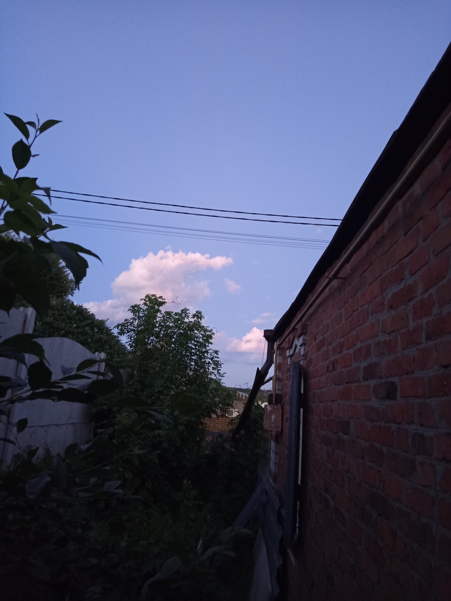 This is a low-angle, outdoor, full-shot photograph taken at dusk in Vilshany, Ukraine. The scene depicts a brick building on the right, partially obscured by a tree and foliage on the left. The building's roofline is visible against a pale blue sky with a single pink-tinged cloud. Electrical wires run horizontally across the sky above the tree line. The brick wall of the building appears weathered, and a downspout runs along its side. The foliage on the left is dark and casts shadows, indicating low light conditions.