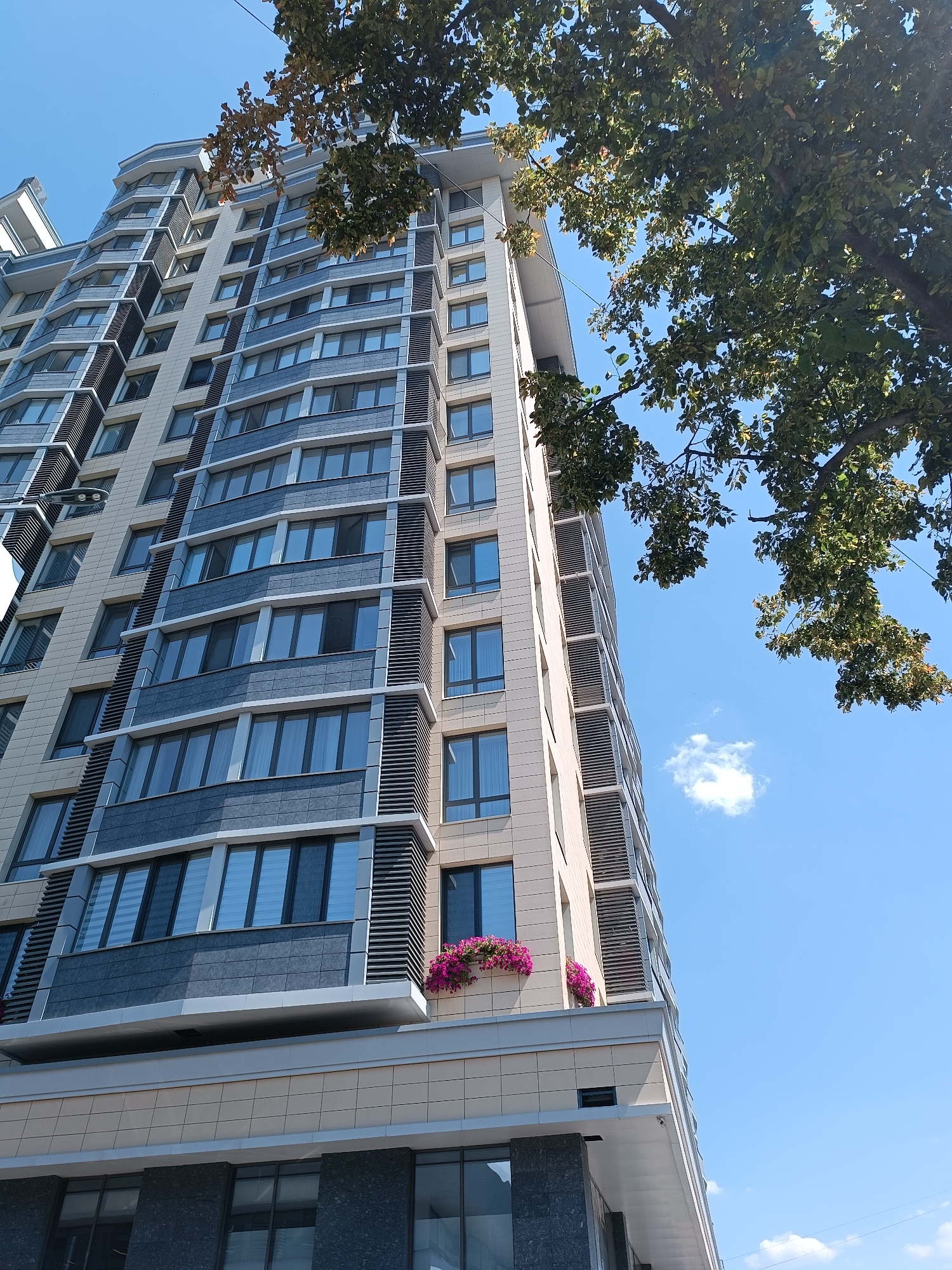 This is a low-angle, full shot of a modern, multi-story building with a light beige facade and dark gray accents. The building has numerous windows, arranged in vertical and horizontal patterns. A section of a large tree with green and brown leaves hangs into the frame from the top right, partially obscuring the building and the clear blue sky. There are two flower boxes filled with vibrant pink flowers on a balcony near the top of the building. The building appears to be located in Chișinău, Moldova, suggested by the architectural style and common building materials. The scene is a daytime exterior shot, with bright sunlight casting shadows. There are no people visible in the image.