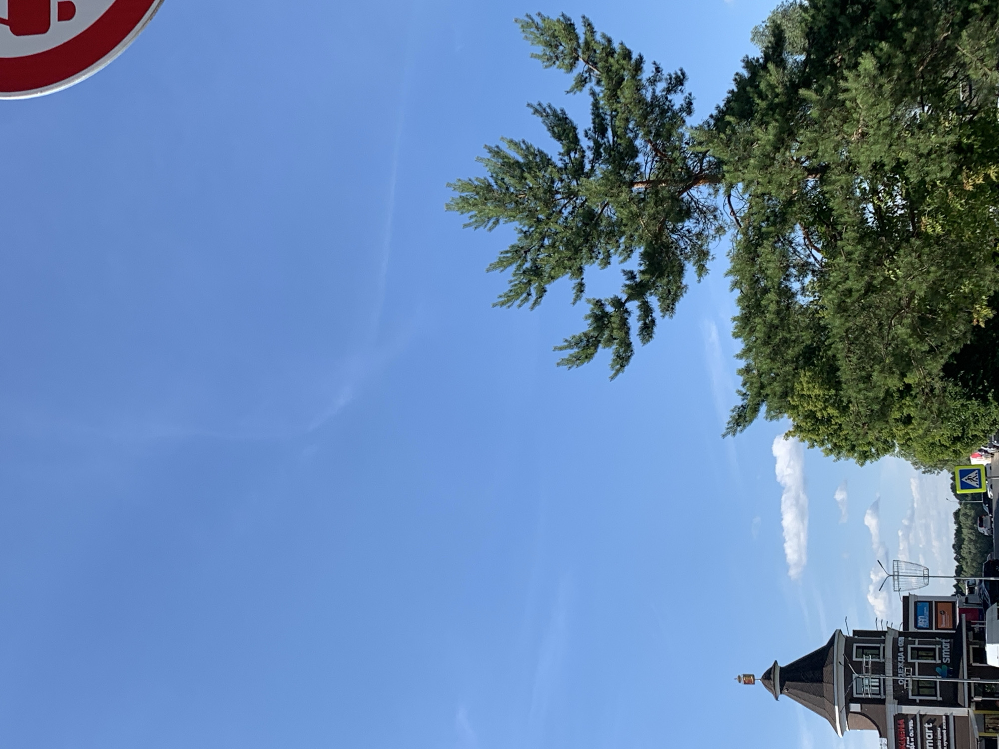 This is a vertical, eye-level, medium shot of a bright blue sky with some wispy clouds. In the upper left corner, a red and white circular sign is partially visible, indicating a prohibition. A large pine tree with lush green needles dominates the upper right portion of the frame, its branches reaching across the sky. In the background, a building with a dark, pointed roof and multiple windows is visible, along with some storefronts. There is some text visible on the storefronts, including "Smart" and "ОДЕЖДА И ОБУВЬ" (clothing and footwear). A yellow pedestrian crossing sign is also visible on the right side of the frame. The scene appears to be set during the daytime, under clear, sunny weather, likely in a town or city given the presence of buildings and signage.