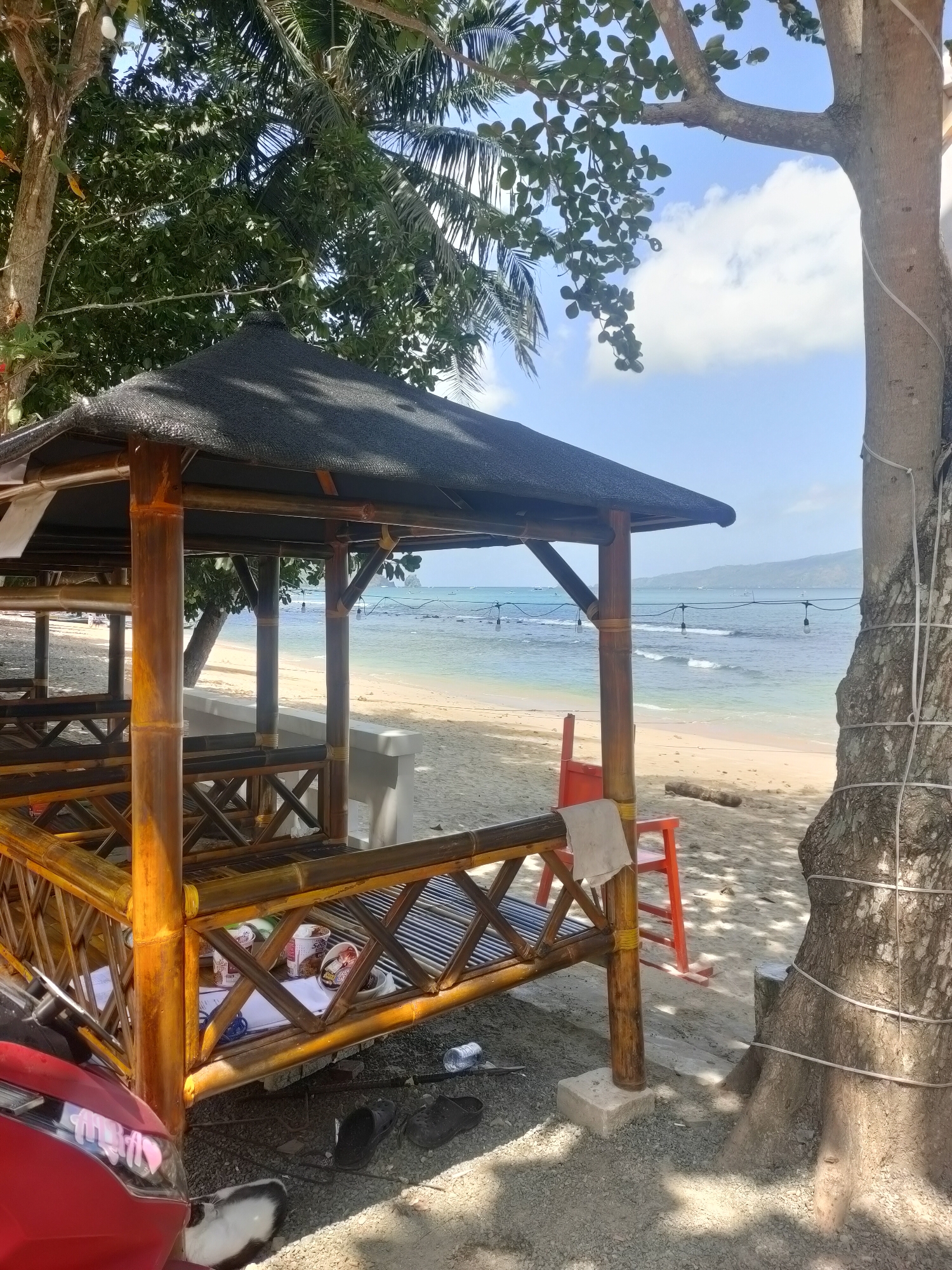 A tropical beach scene in Prigi, Indonesia, is captured in this medium shot. A bamboo gazebo with a dark roof stands prominently in the foreground, offering shelter over seating areas. To the left, the front of a red scooter is visible, with a white and black cat lying on the ground near it. Several pairs of flip-flops are scattered on the gravelly ground beneath the gazebo.
Beyond the gazebo, a sandy beach stretches towards the ocean, where gentle waves roll onto the shore. The water is a clear turquoise color, and several boats are visible on the horizon. A line of simple string lights hangs over the beach. In the background, lush green trees, including palm trees, overhang the scene, and a large tree trunk with visible rope bindings stands to the right of the frame. The sky is a bright blue with scattered white clouds. The overall impression is one of a peaceful, seaside location.