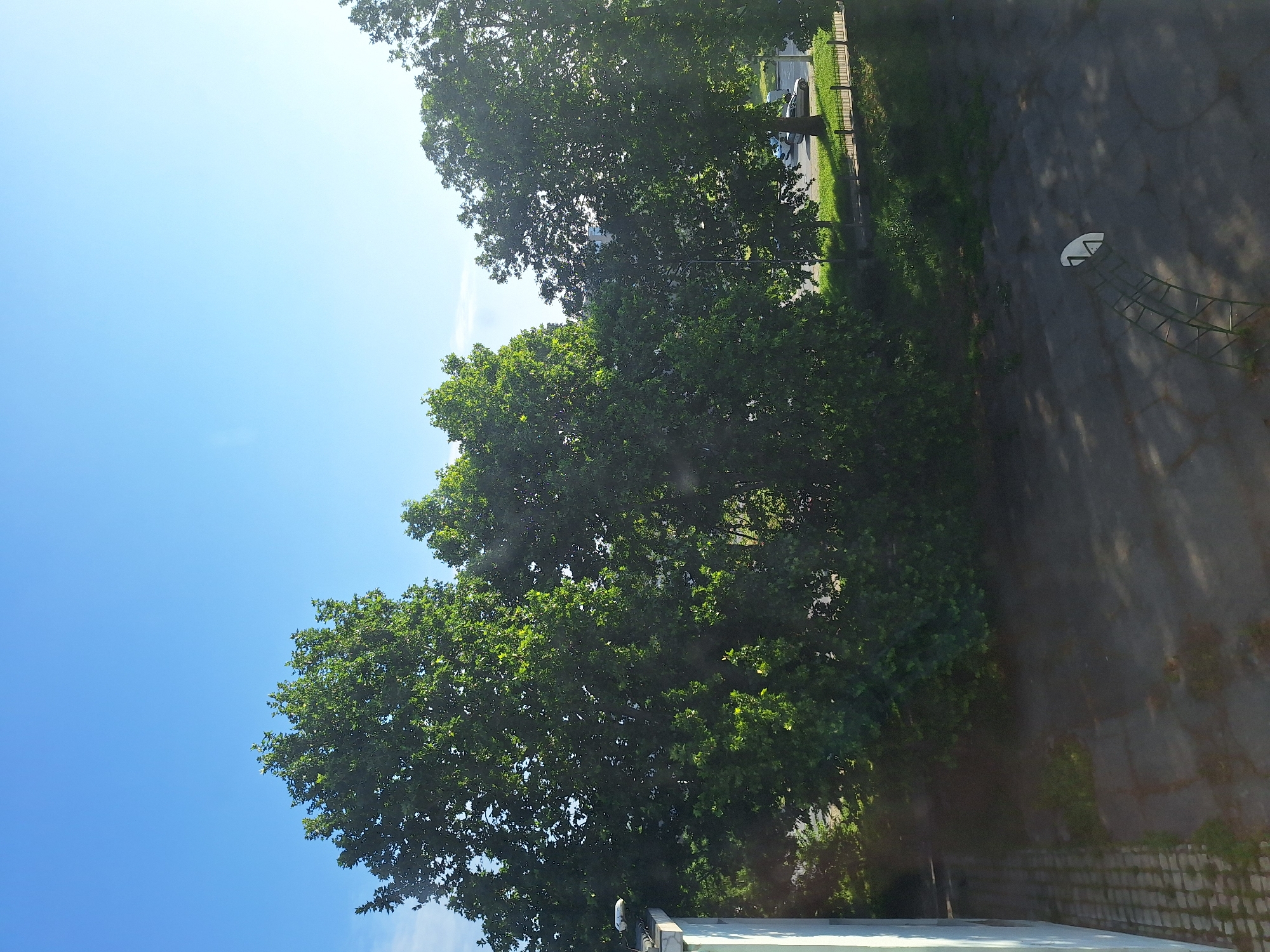 The image captures a view from an elevated vantage point, likely a window, overlooking an outdoor area in Varna, Bulgaria. Dominating the scene are several large, mature trees with lush green foliage, casting dappled shadows on the ground below. The sky above is a clear, bright blue.
In the foreground, a section of a building wall, painted white, is visible on the left. Adjacent to the building is a paved area, possibly a courtyard or a parking lot, with some cracks and patches of wear. Further into the scene, a basketball hoop with a white backboard is set up on the paved surface. A metal structure, likely part of a playground or sports equipment, is positioned near the hoop, casting long shadows.
Beyond the paved area and trees, a street can be seen with a few parked vehicles, including a silver car. A sidewalk and a grassy verge separate the street from the immediate foreground. A metal fence runs along the edge of the grassy area. The overall impression is a sunny day in an urban or semi-urban environment. The time of day appears to be morning or late afternoon, judging by the length and direction of the shadows. There are no people visible in the image.